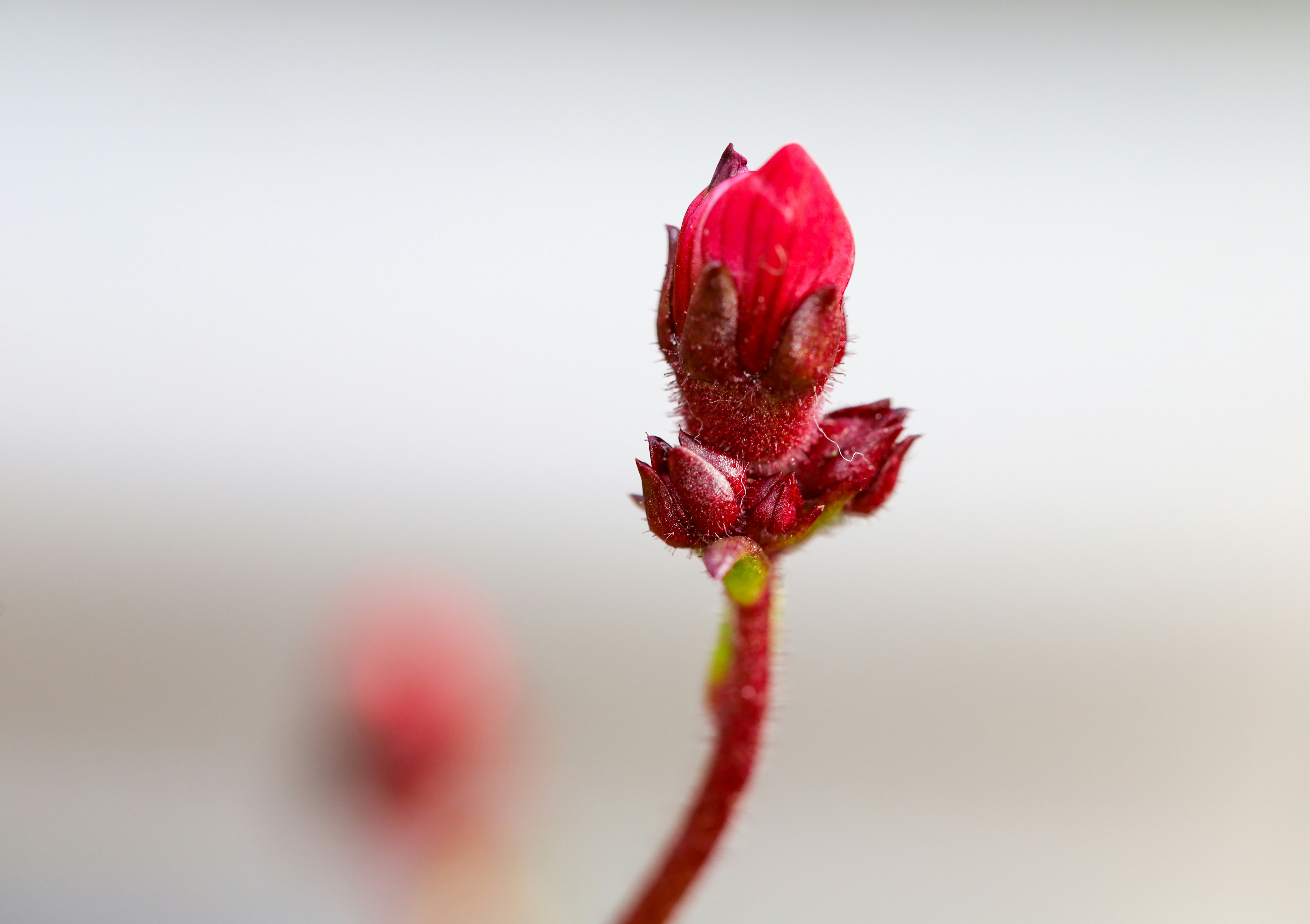Photo by grievek1610begur