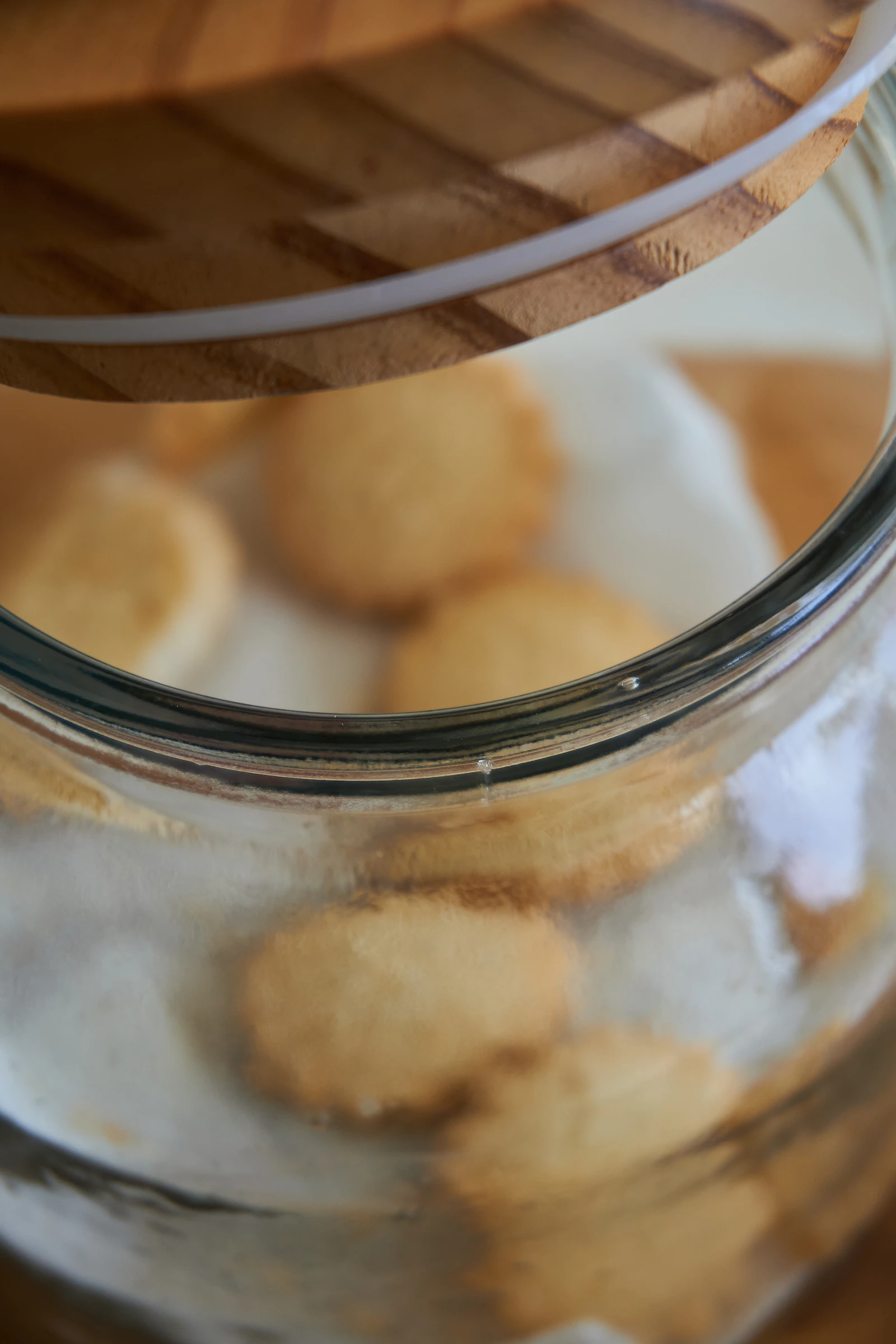 Freakonomics Podcast: Girl Scout Cookies