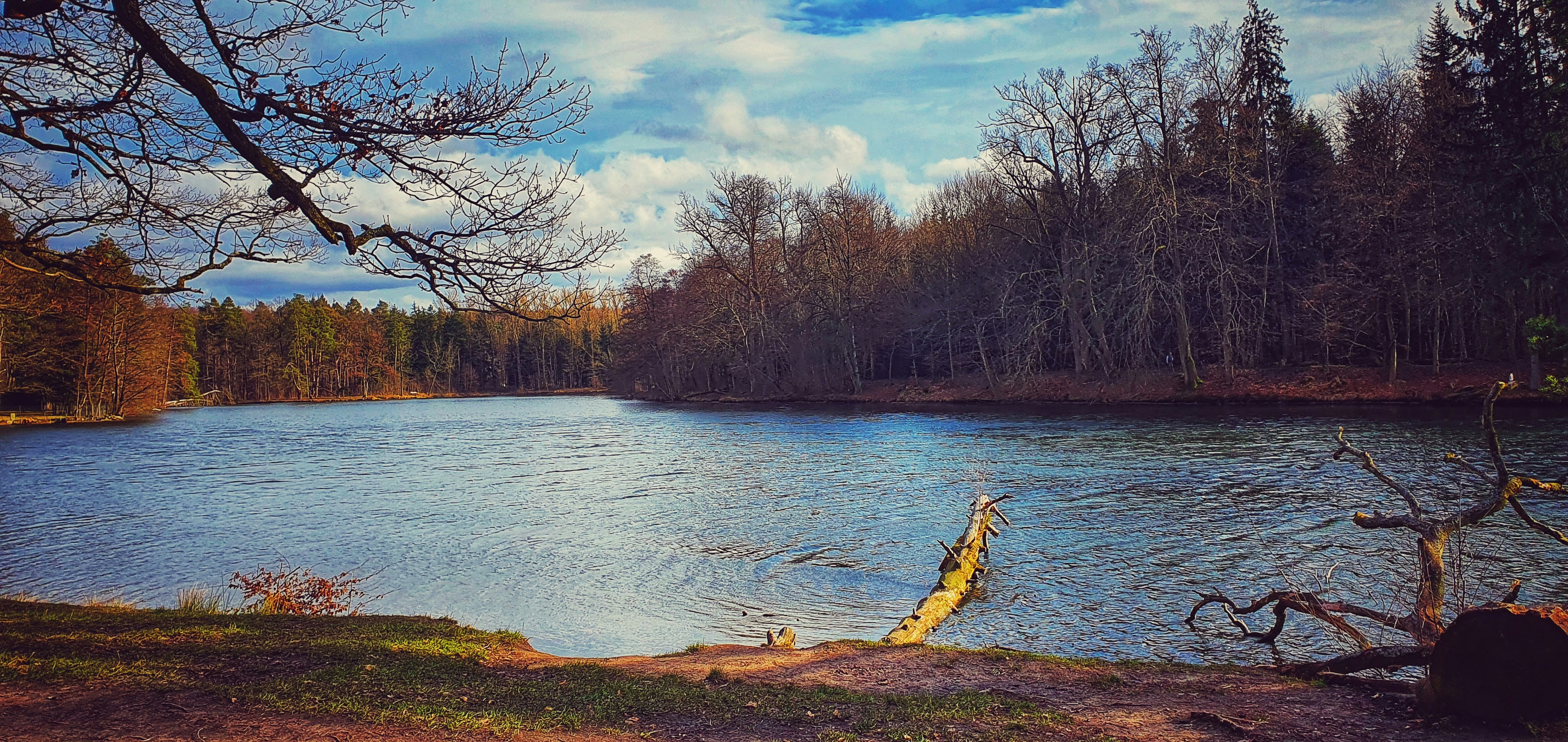 Photo by luciancosmin7