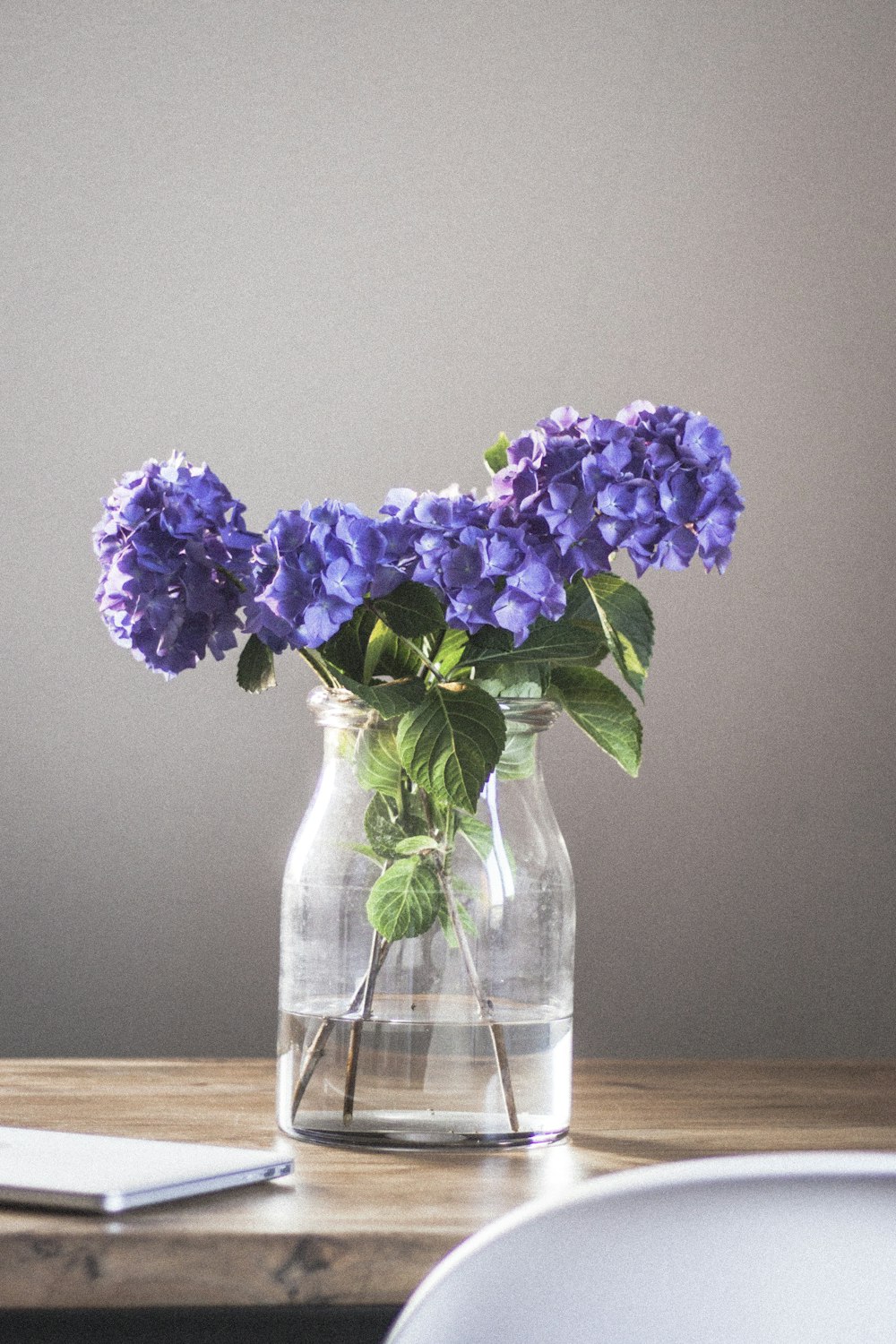flor púrpura en jarrón de vidrio transparente