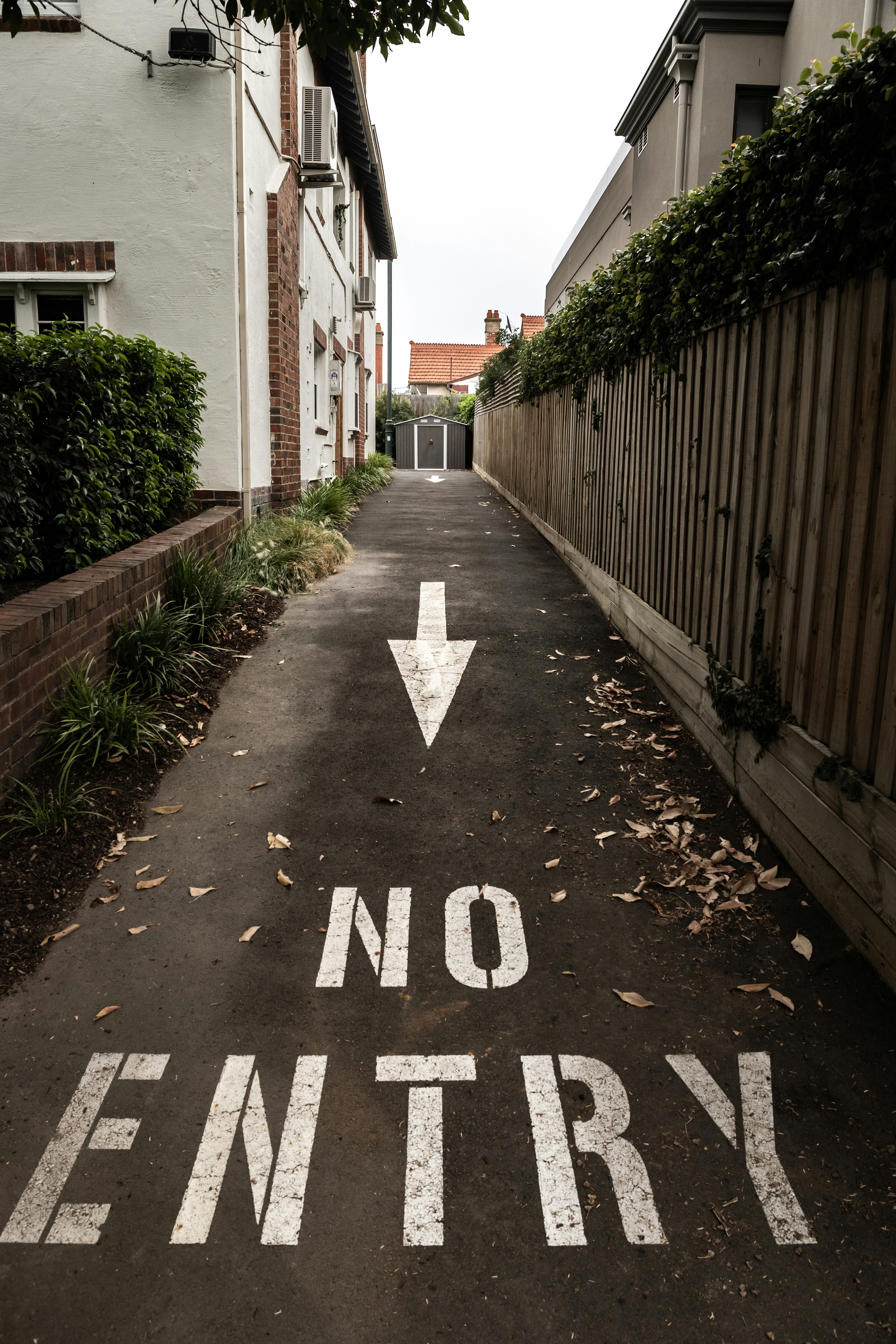 Photo by mitchel3uo