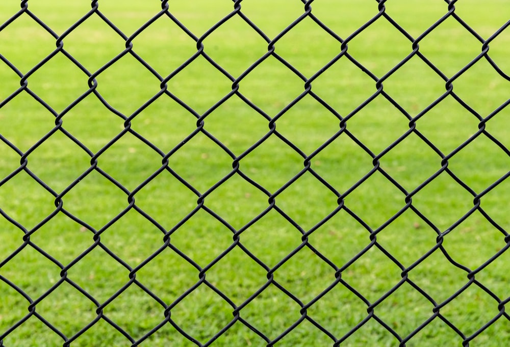 green metal fence during daytime