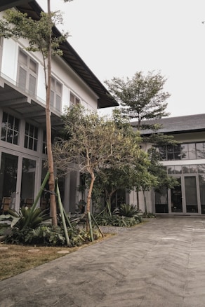 A modern architectural space with a two-story building featuring large glass windows and a flat roof. The exterior is surrounded by neatly arranged plants and trees, with a paved pathway leading up to the entrance. The overall setting is clean and minimalistic, complemented by natural greenery.