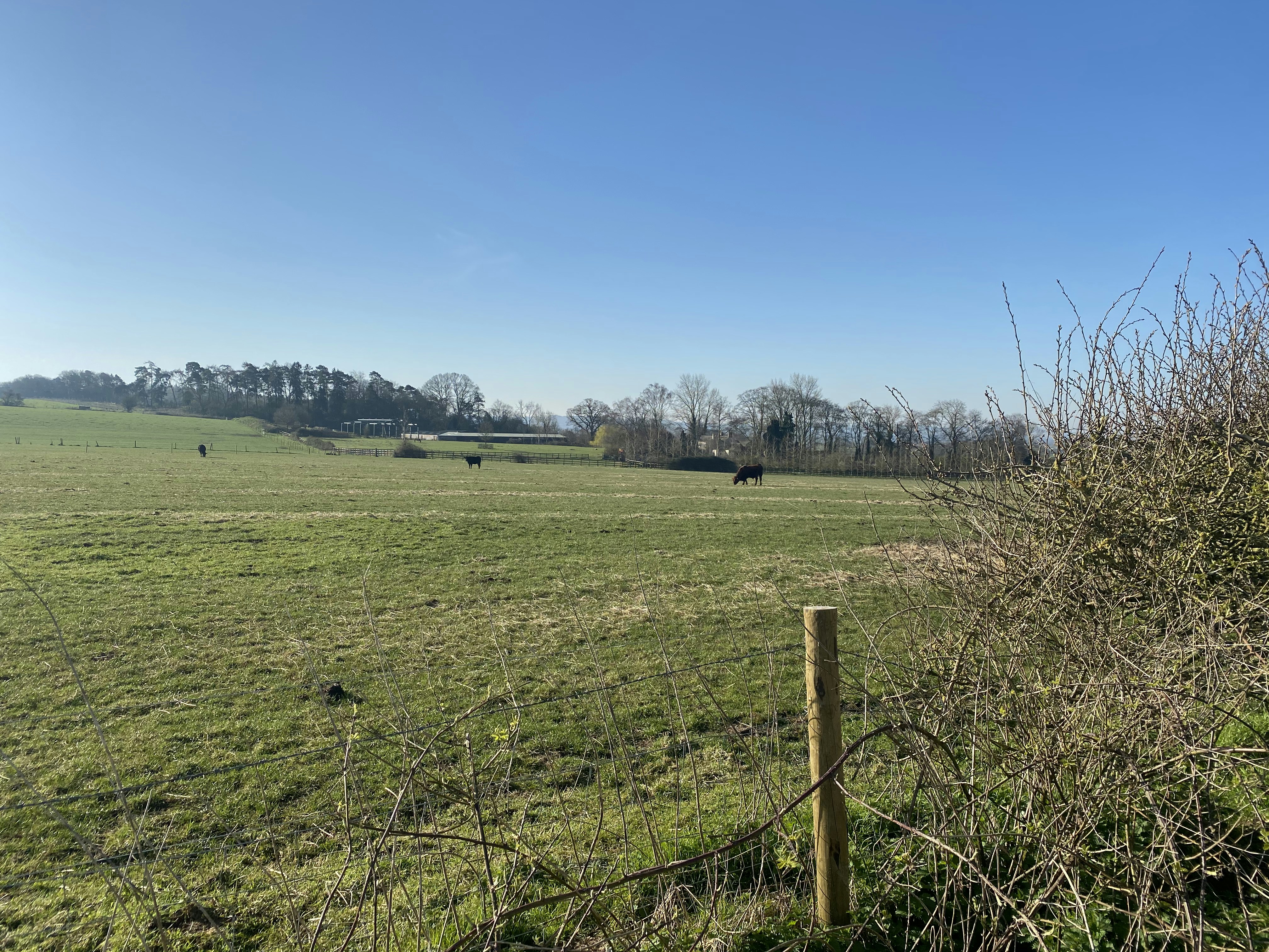 Photo by bearded_oxon