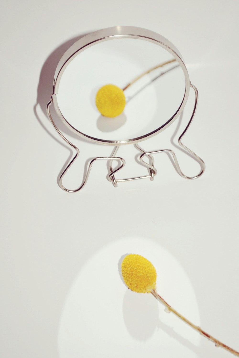 stainless steel rack with yellow round fruit