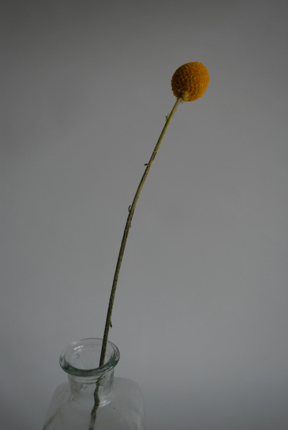 orange fruit on clear glass bowl