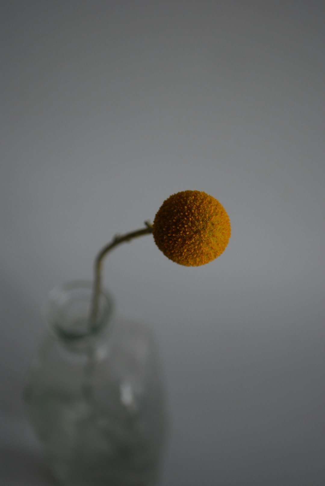 yellow round fruit on clear glass bottle