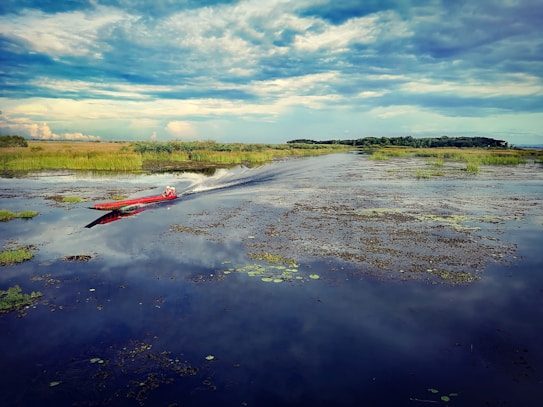 A vibrant landscape featuring a wetland with calm water reflecting the sky. A red speedboat cuts through the water, creating a trail of waves. The sky is partly cloudy with a mixture of blue and white tones, while the shoreline is lined with tall green grasses and distant trees.