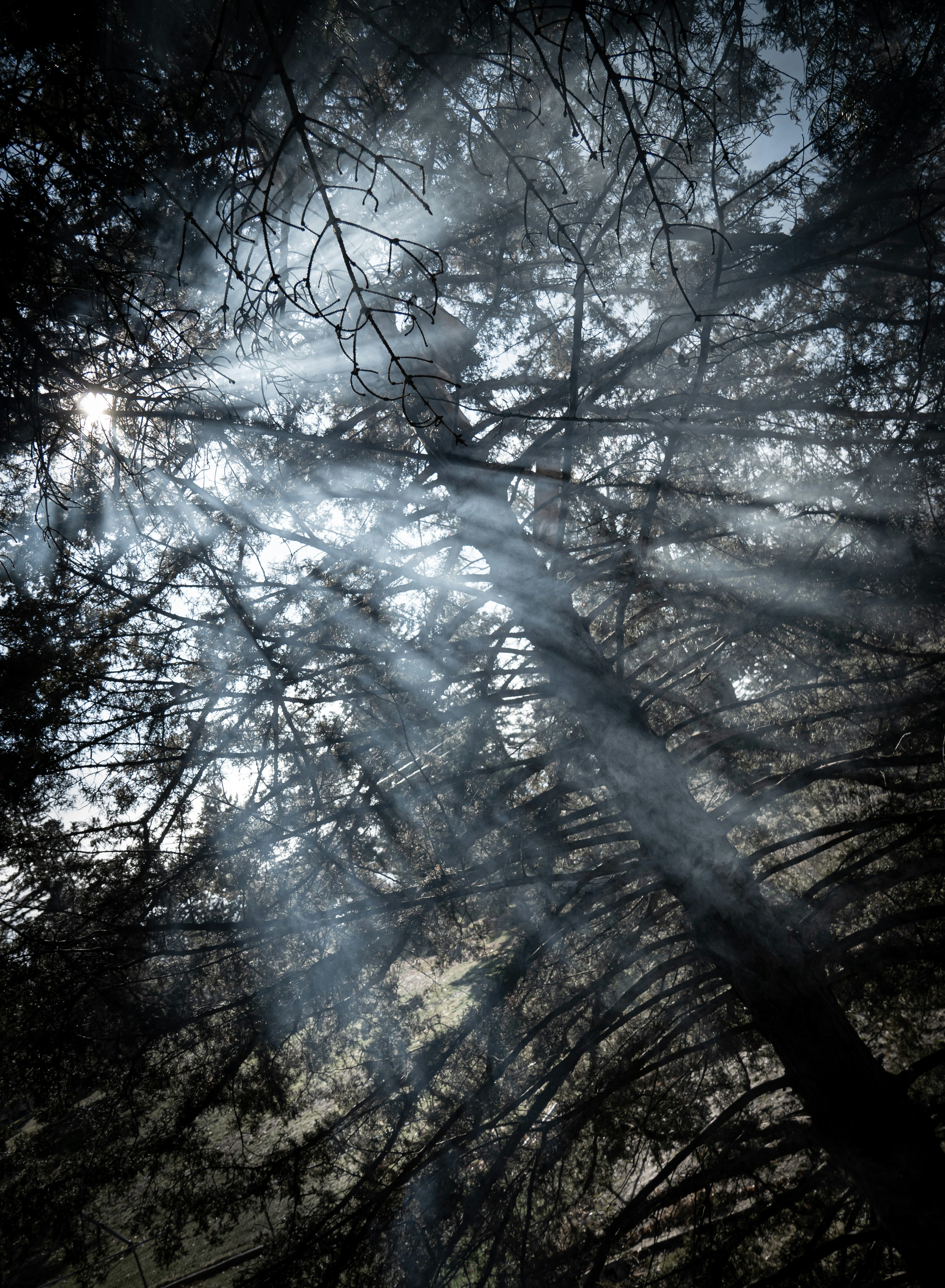 Photo by username_here