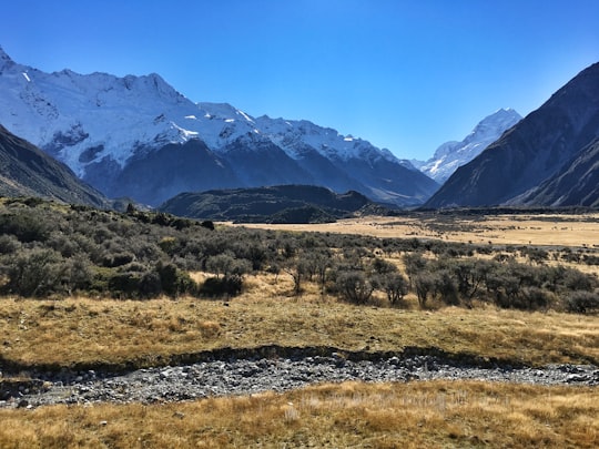green grass field near snow covered mountains during daytime in Aoraki/Mount Cook National Park New Zealand