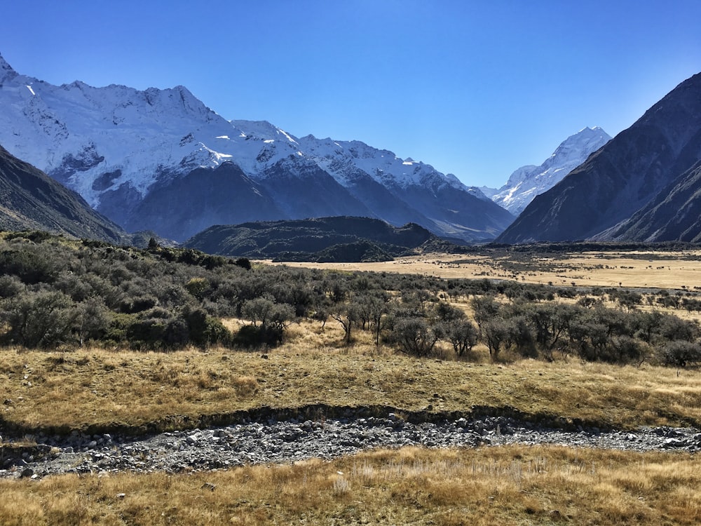 green grass field near snow covered mountains during daytime