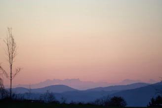 A soft, poetic landscape with gentle hills under a pastel sky at dusk.