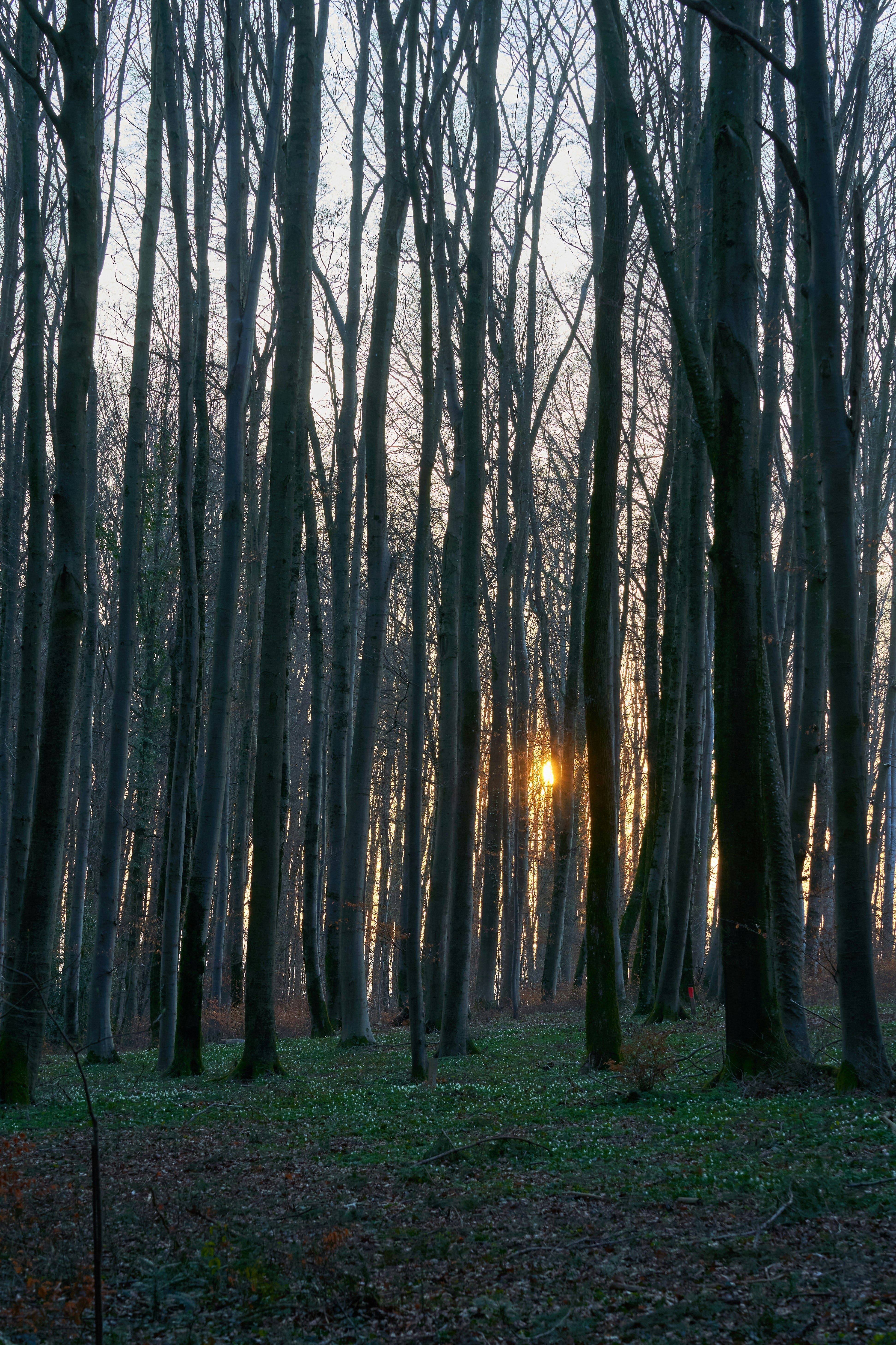 Photo by wolfgang_hasselmann