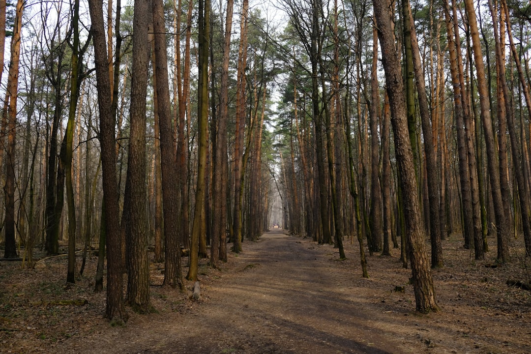 Forest photo spot Тимирязевский Парк Shosse Entuziastov