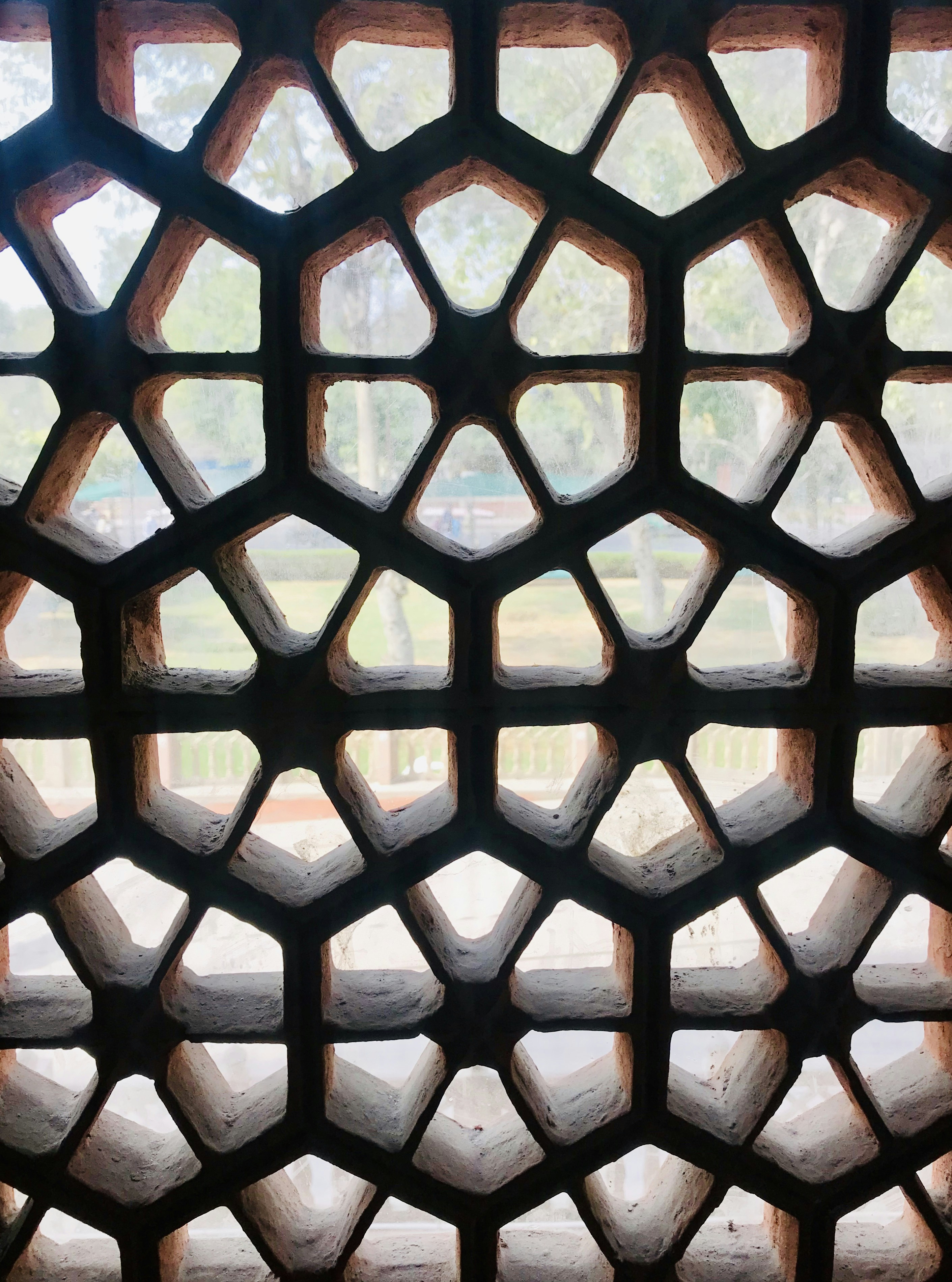 Photo by shubhammittal