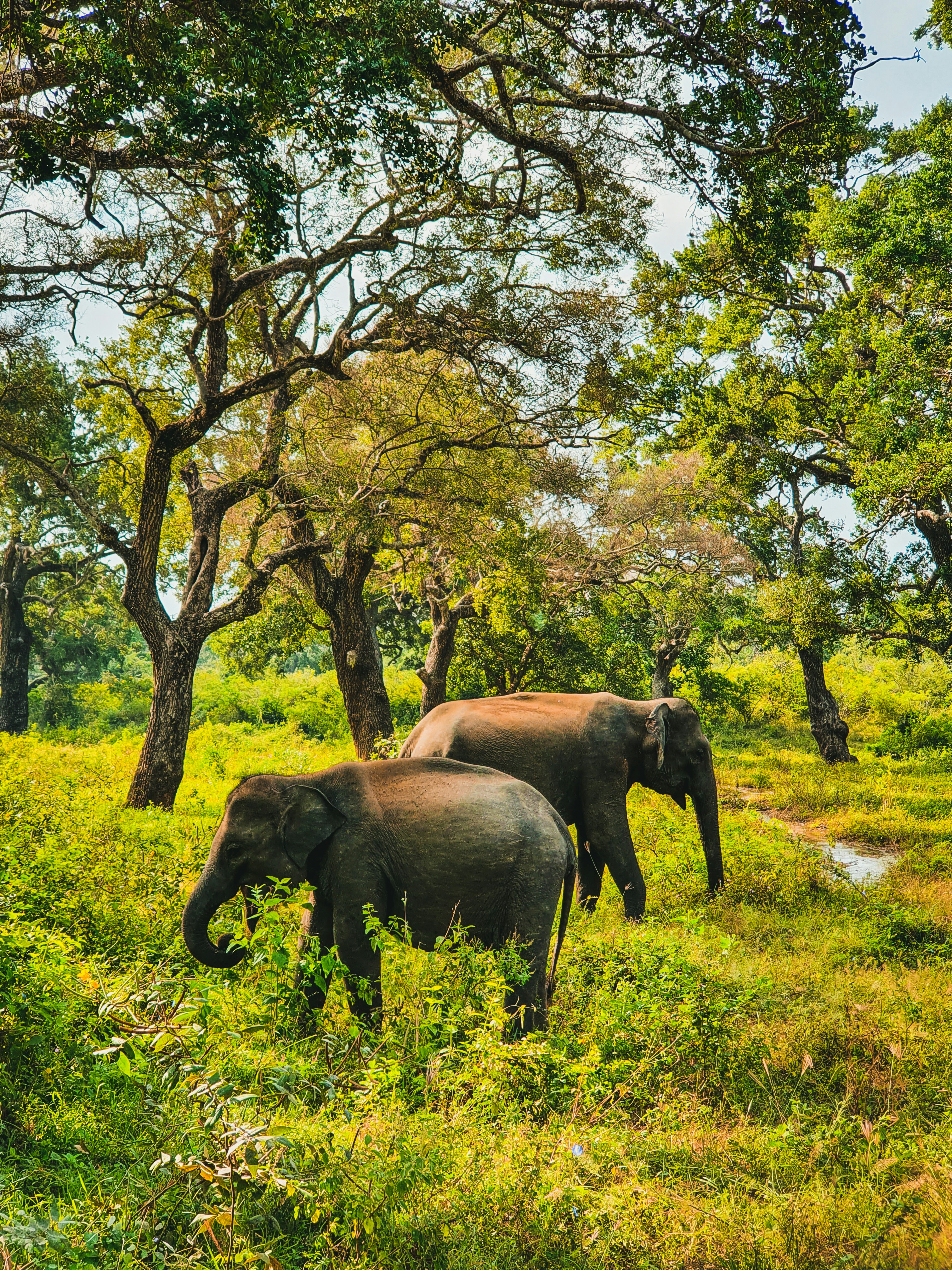 Photo by silverringvee