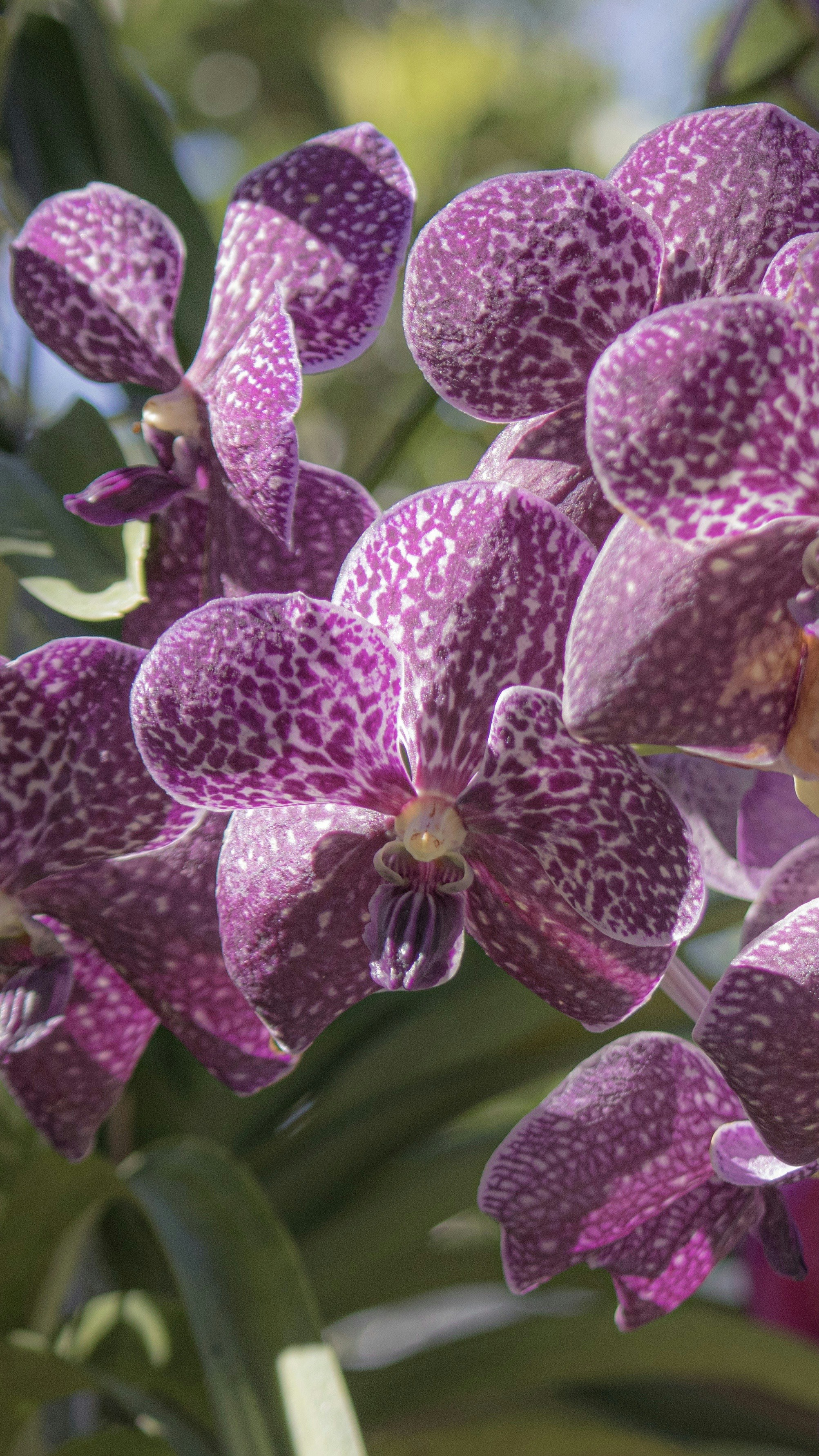 Home フラワーポートデザインスタジオ