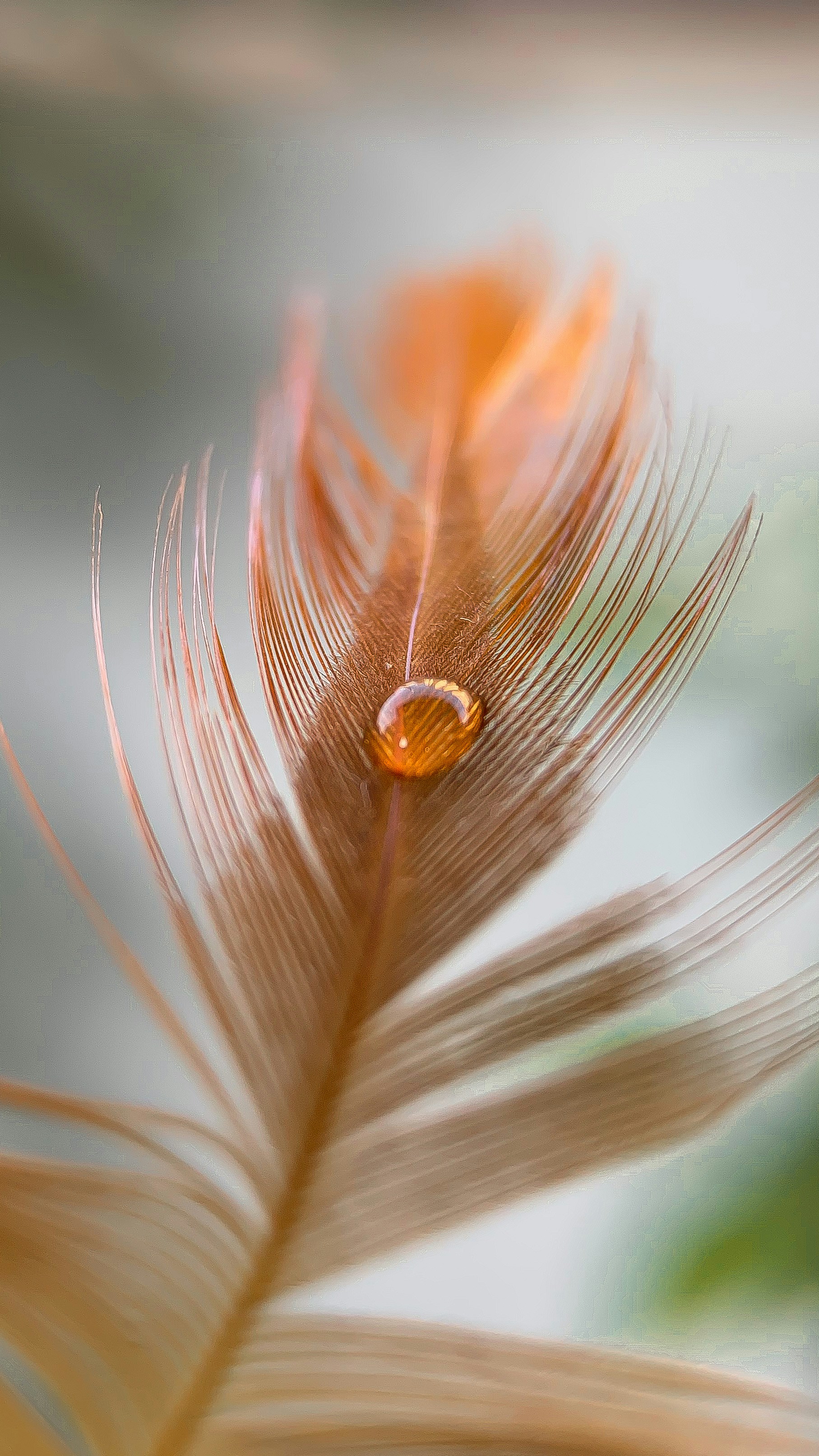 plume brune avec des gouttelettes d’eau
