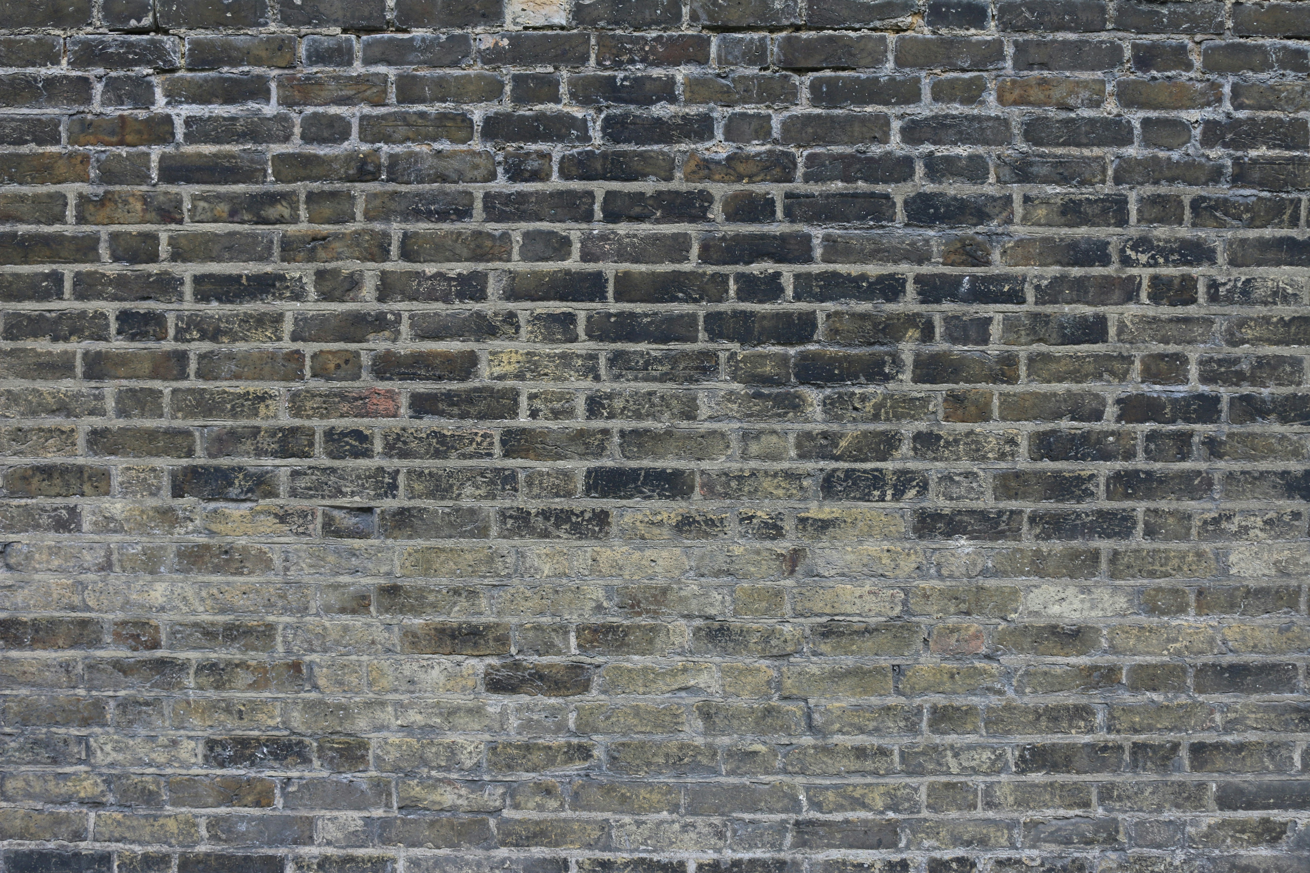 Photo by gareth_david