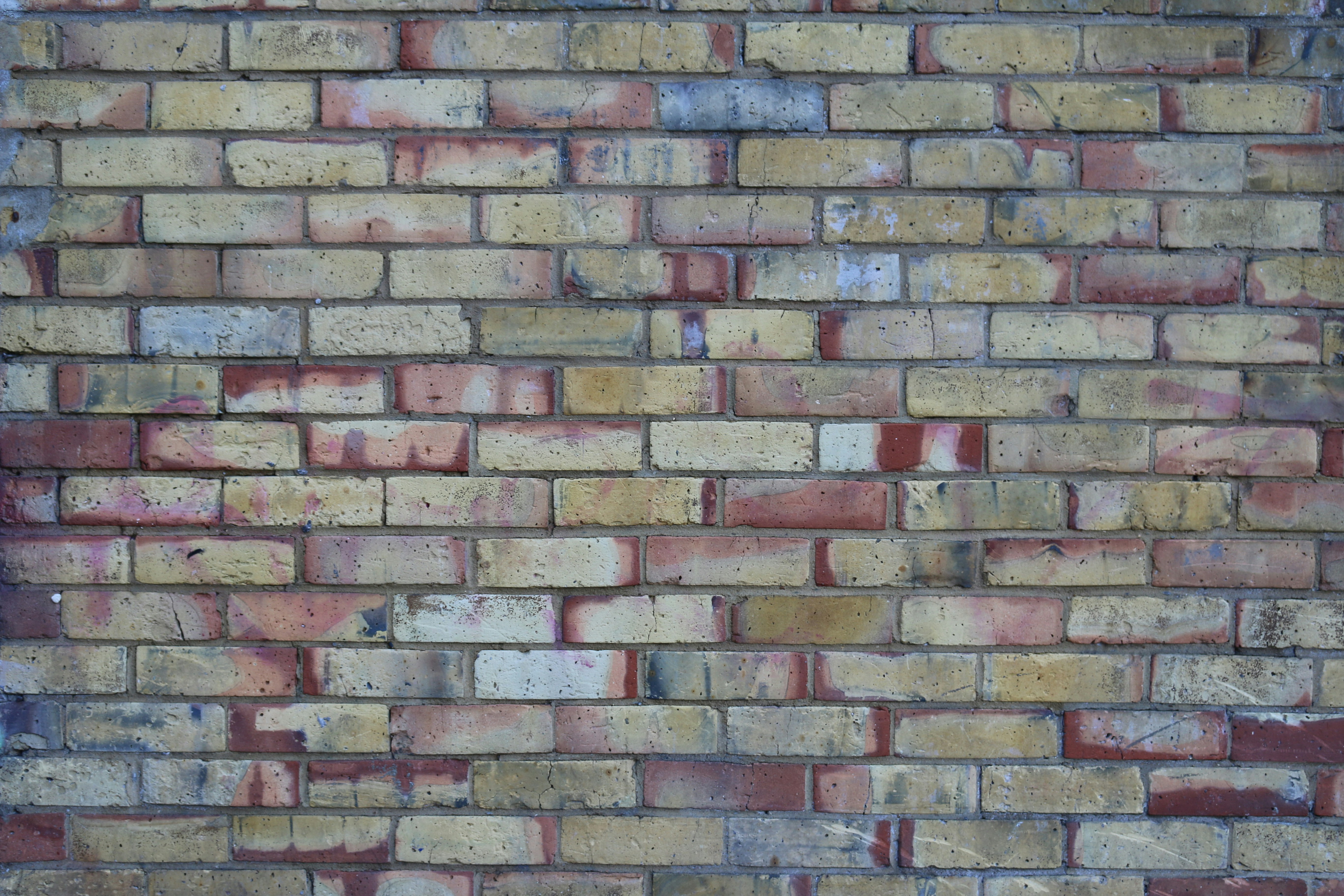 Photo by gareth_david