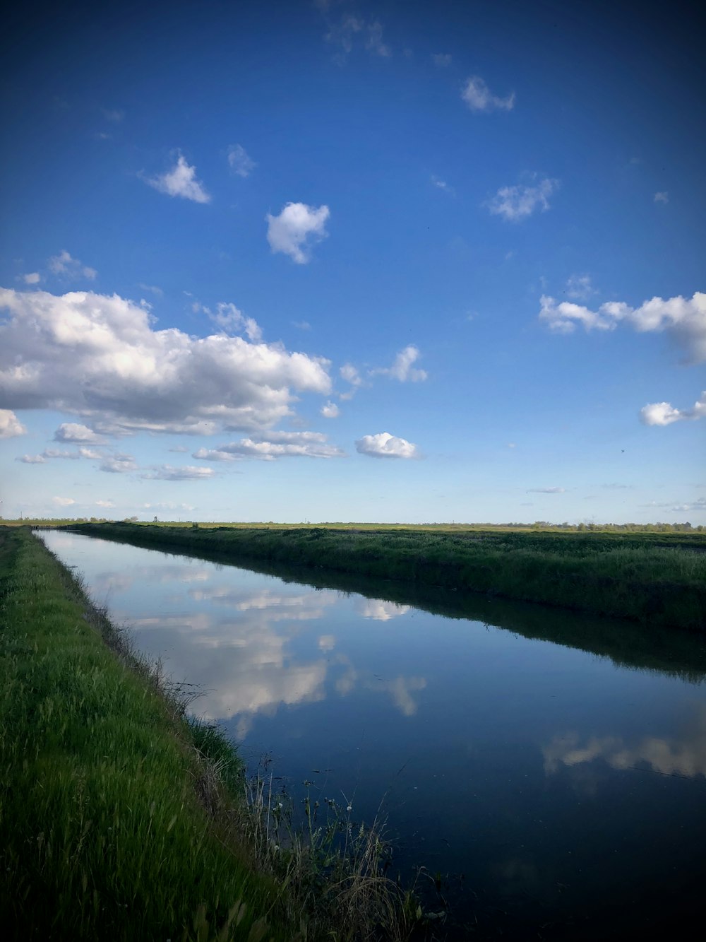 green grass near lake under blue sky during daytime