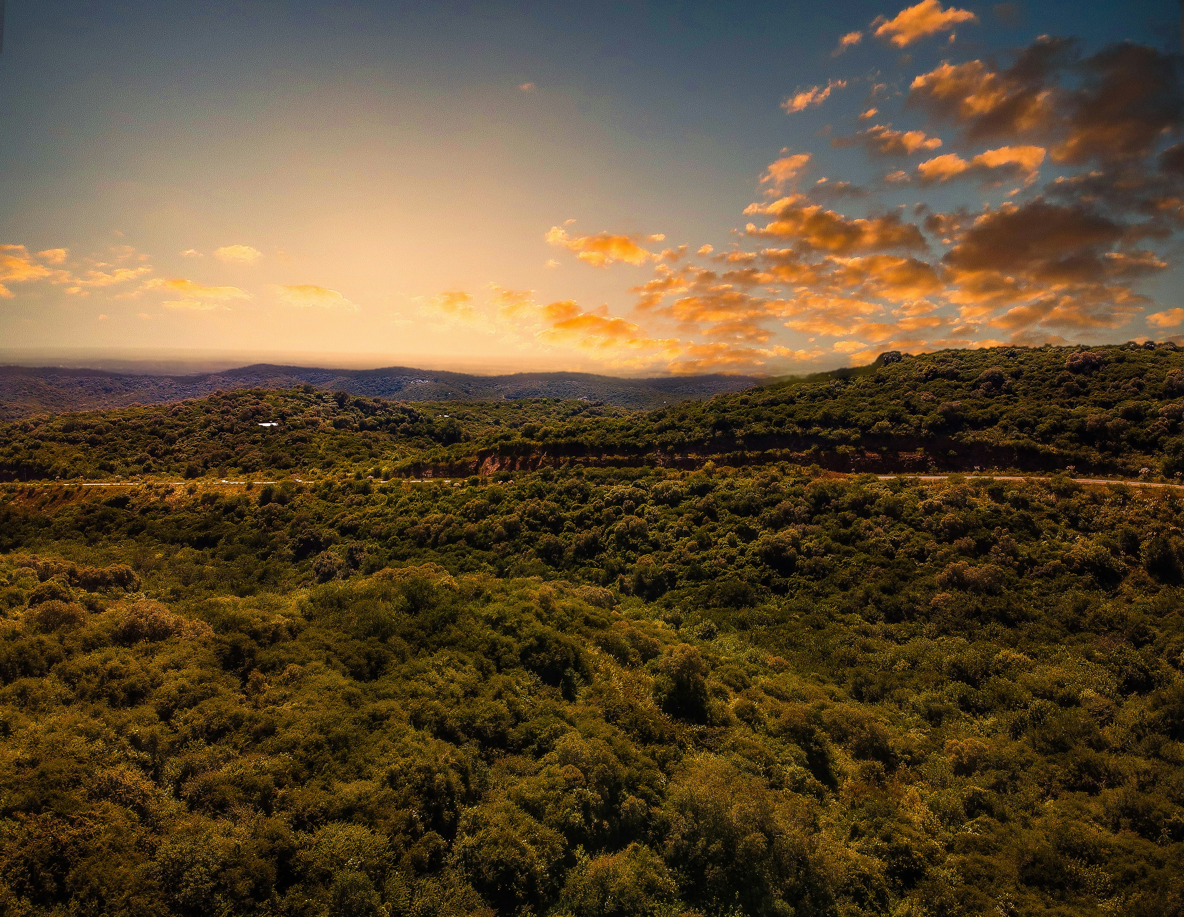 Photo by argentinanatural