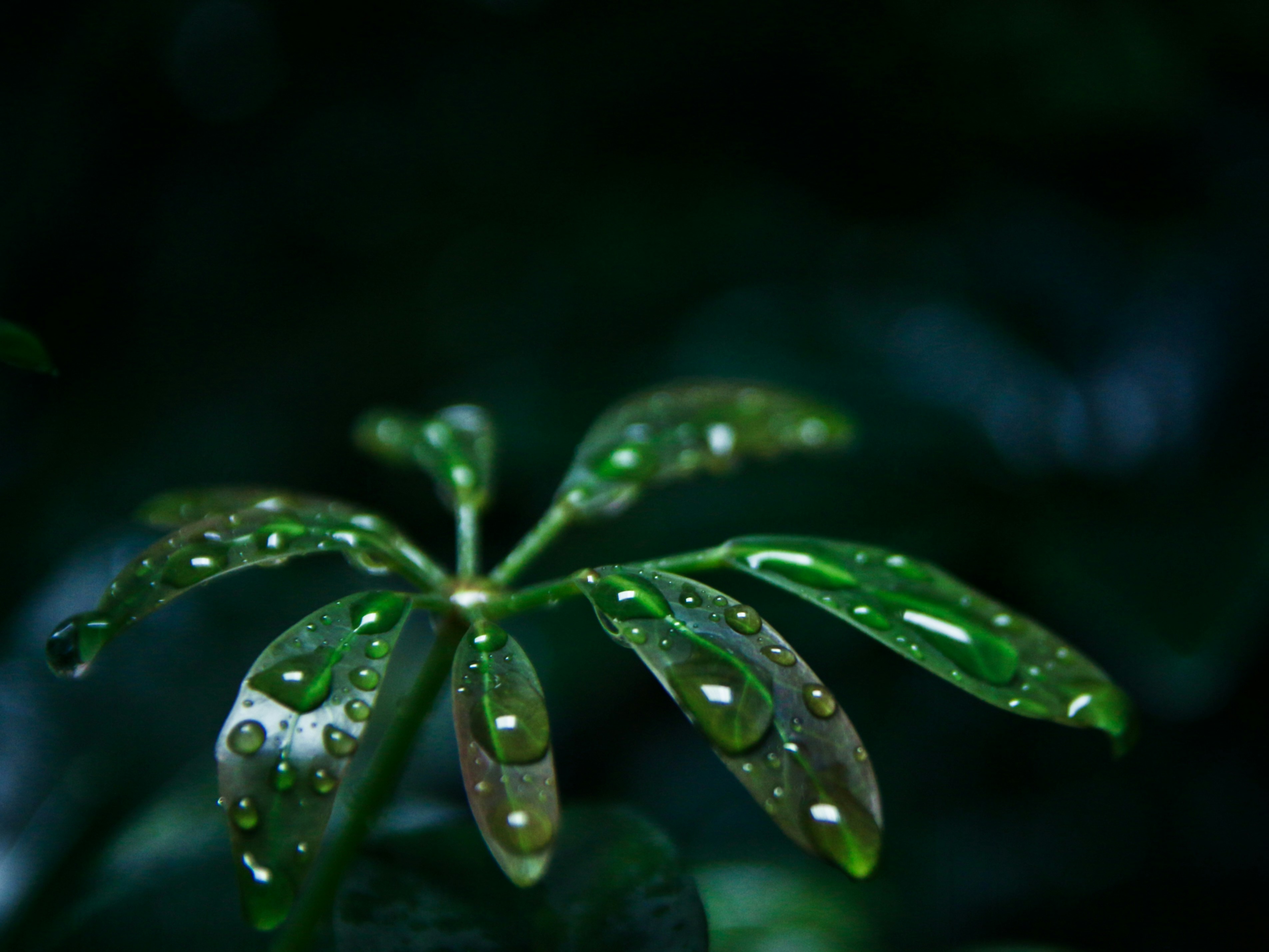 Photo by benjamin_1017