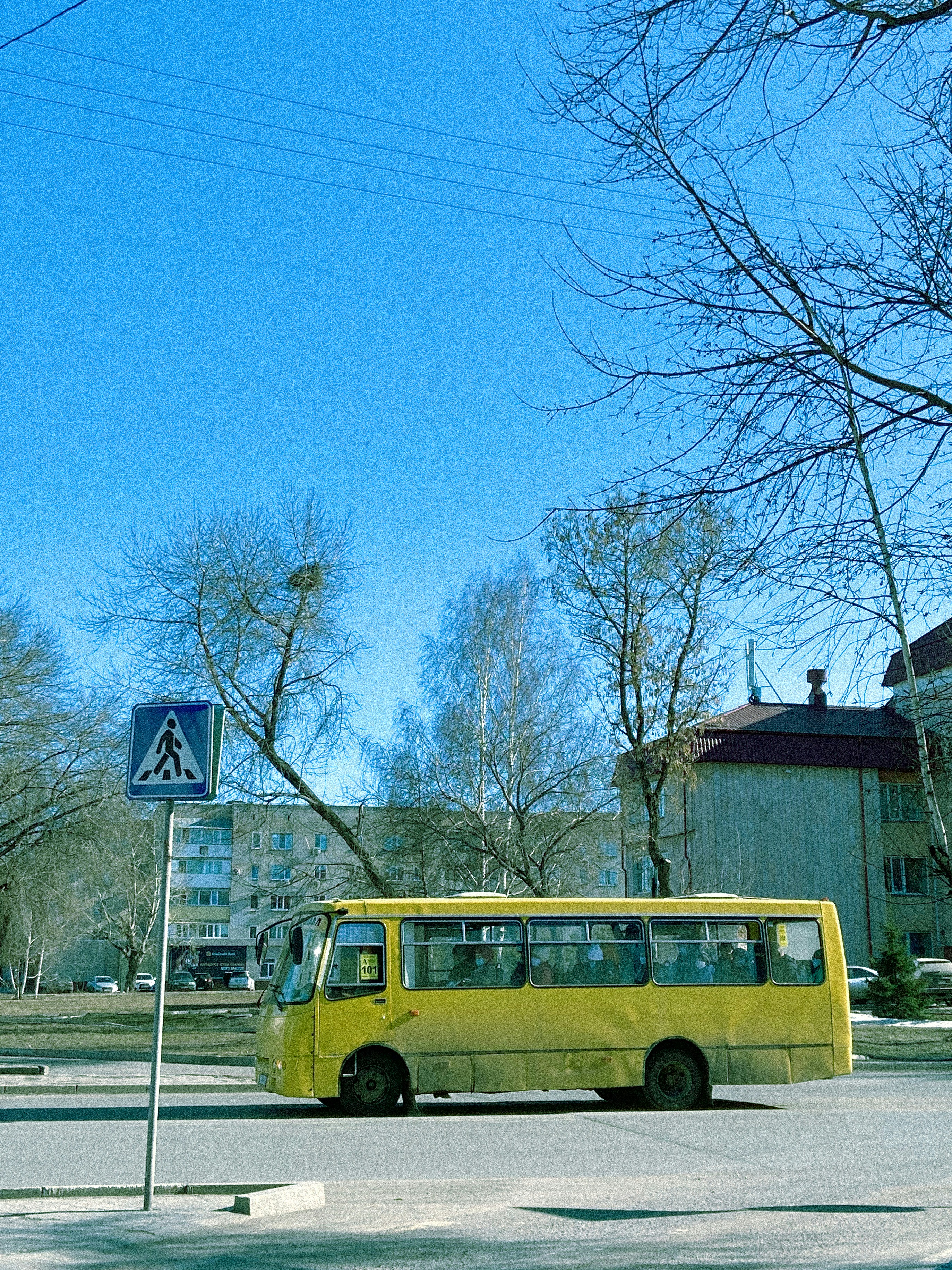 Justiça condena município por não oferecer transporte escolar a criança com deficiência imagem do post