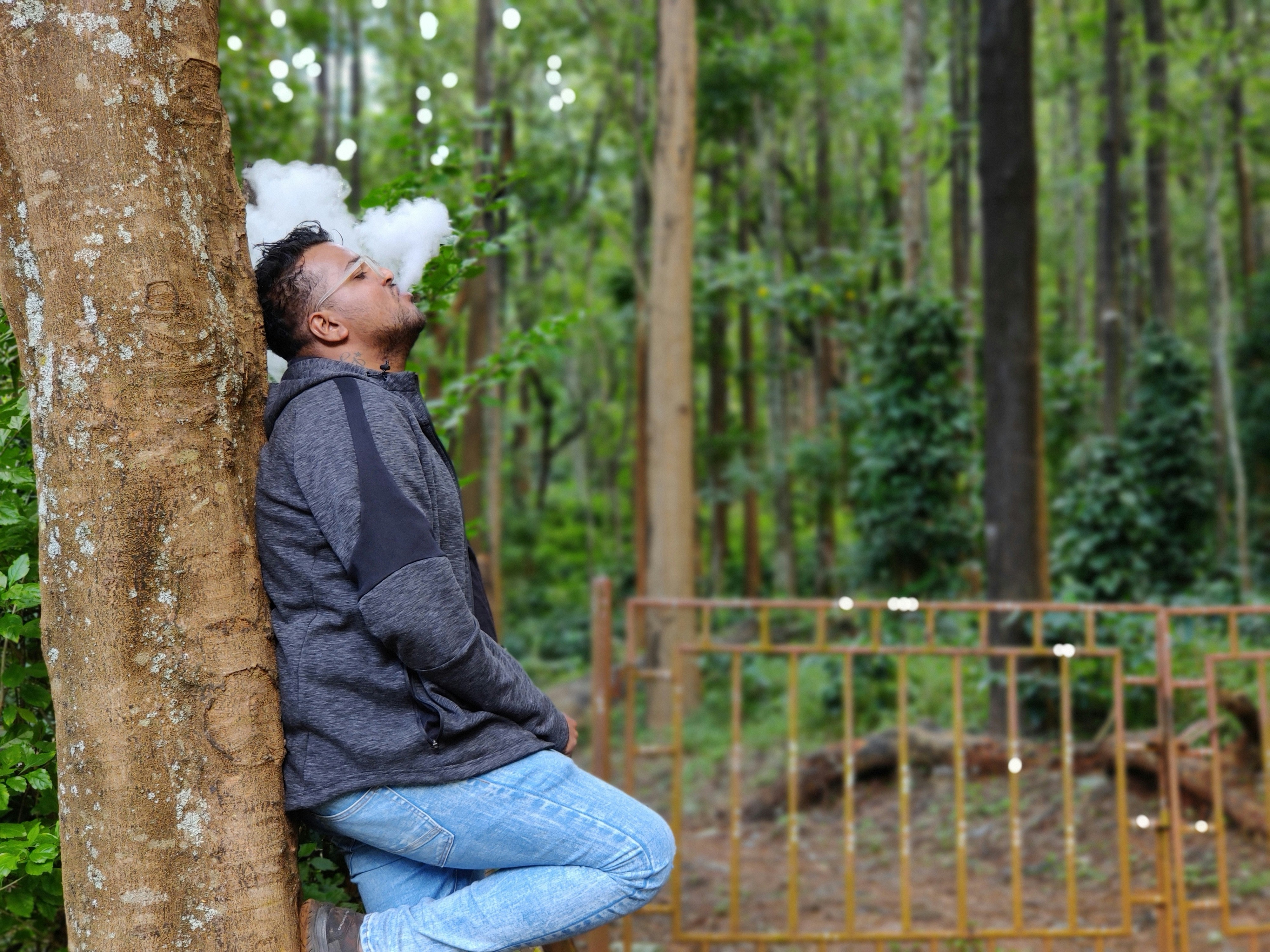 Sasuke Sitting On Tree Wallpaper Pictures | Download Free Images on ...
