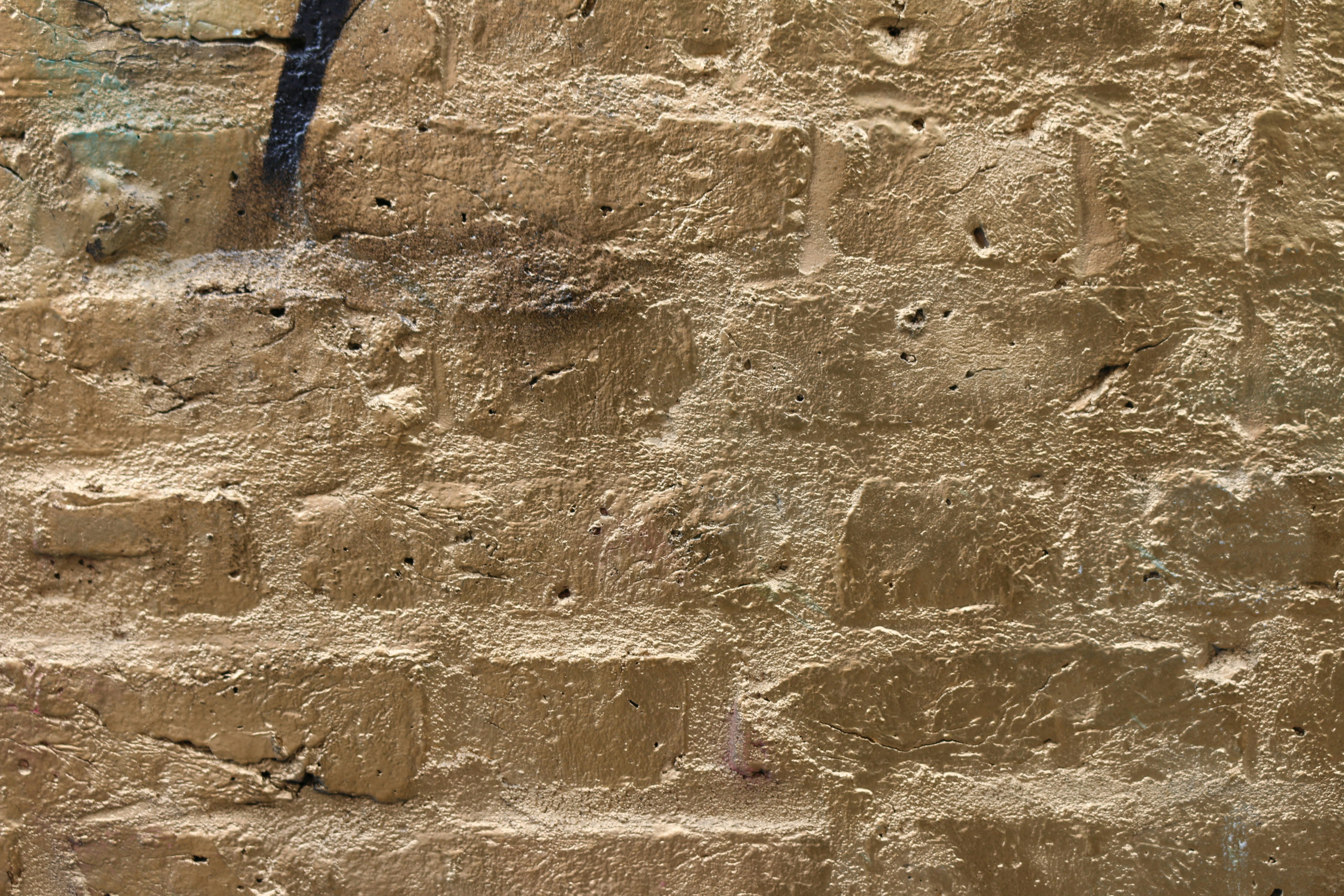 Photo by gareth_david