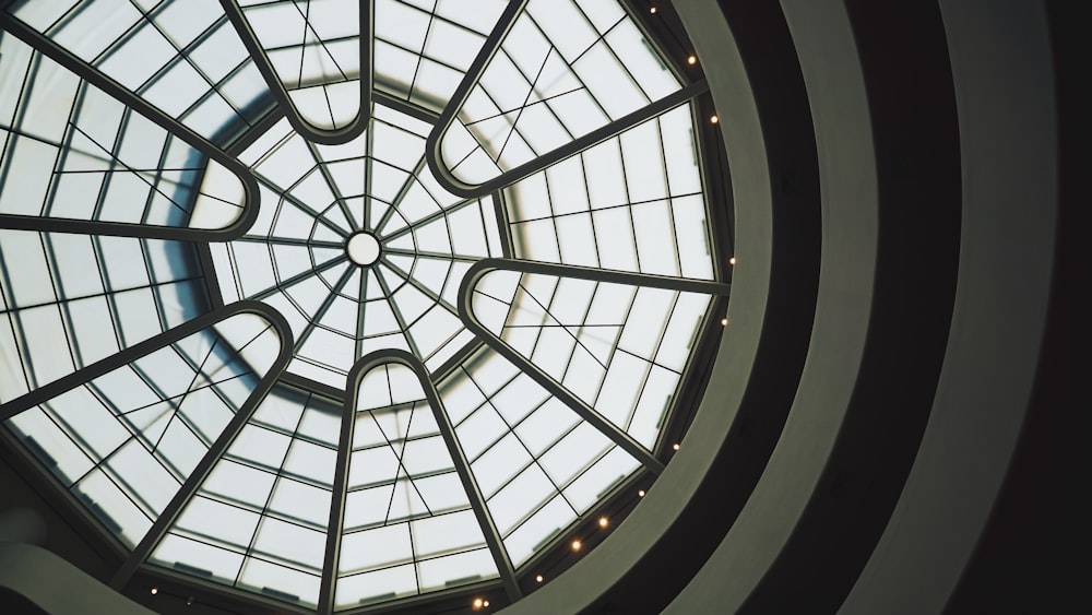 black metal framed glass ceiling