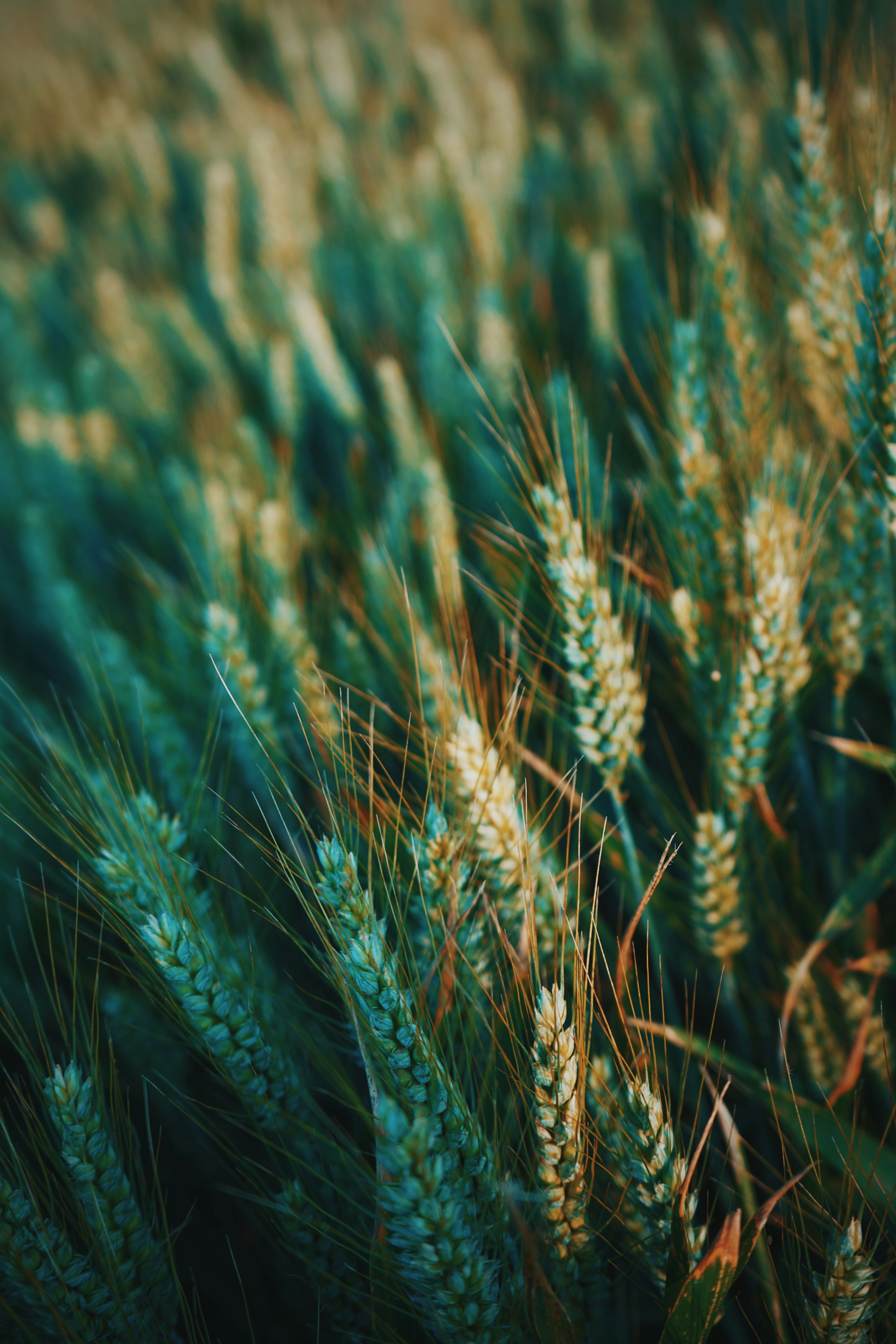 Photo by mariarayssi