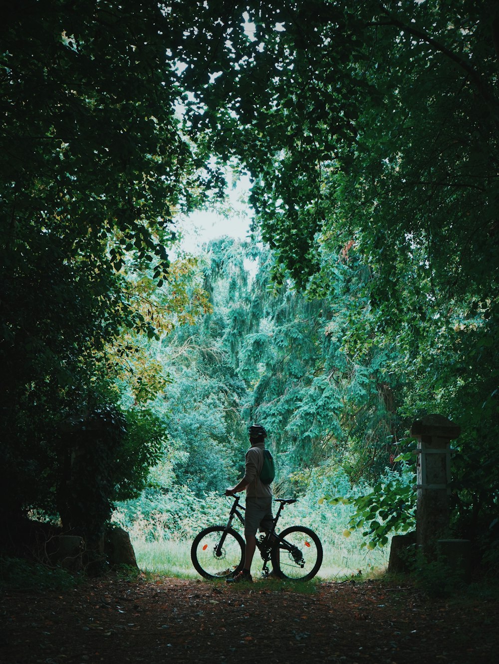 man riding bicycle on forest during daytime