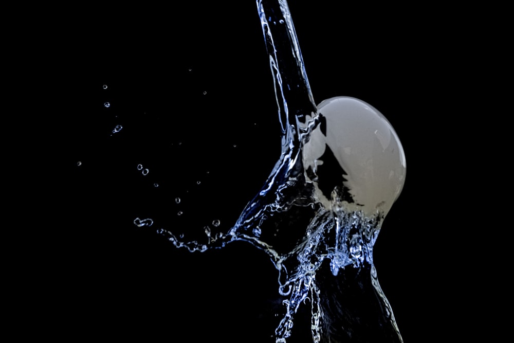 water splash on white background