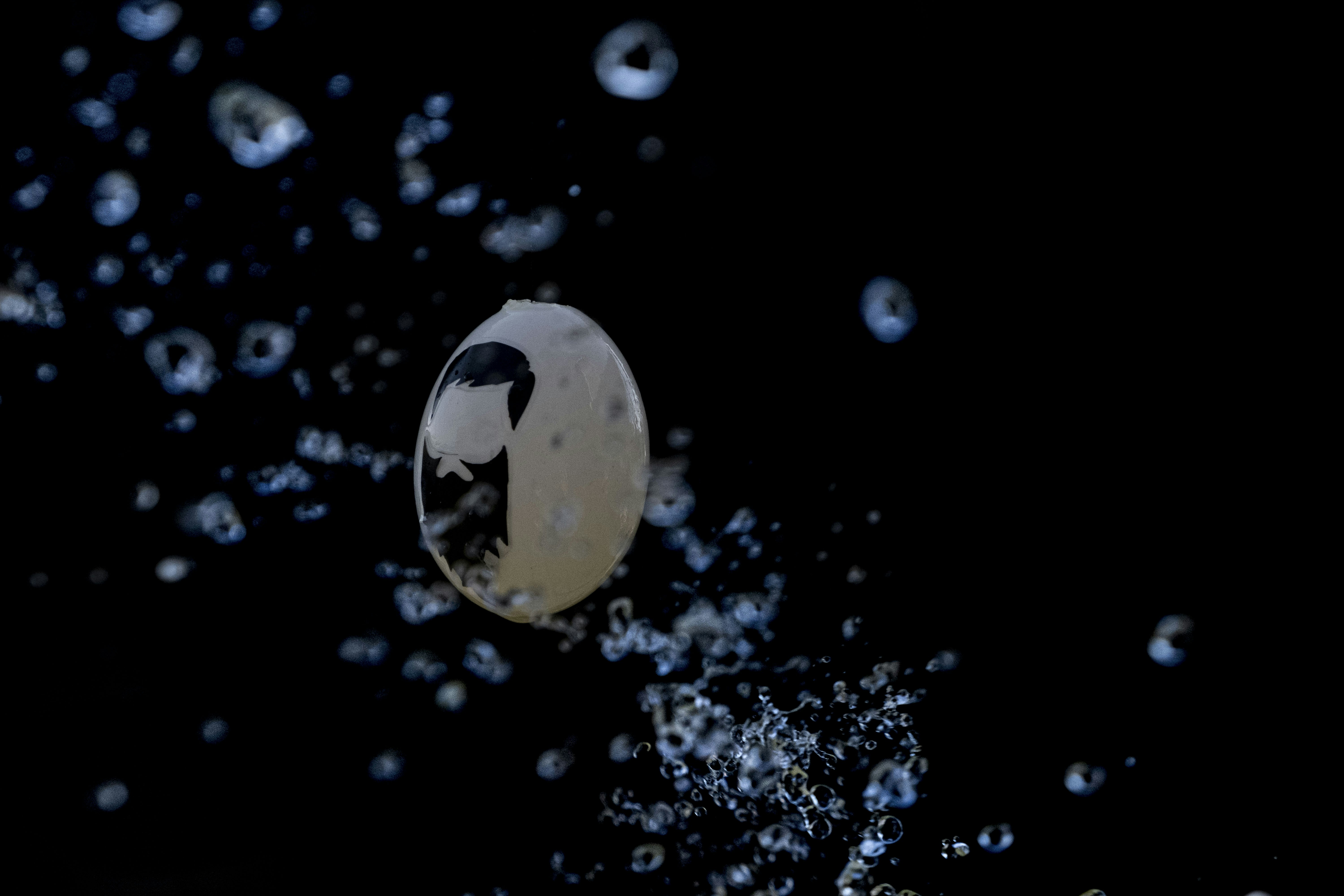 Photo by moritz_photography