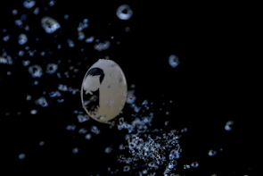 Close-up of the game’s playful bubble characters mid-action.