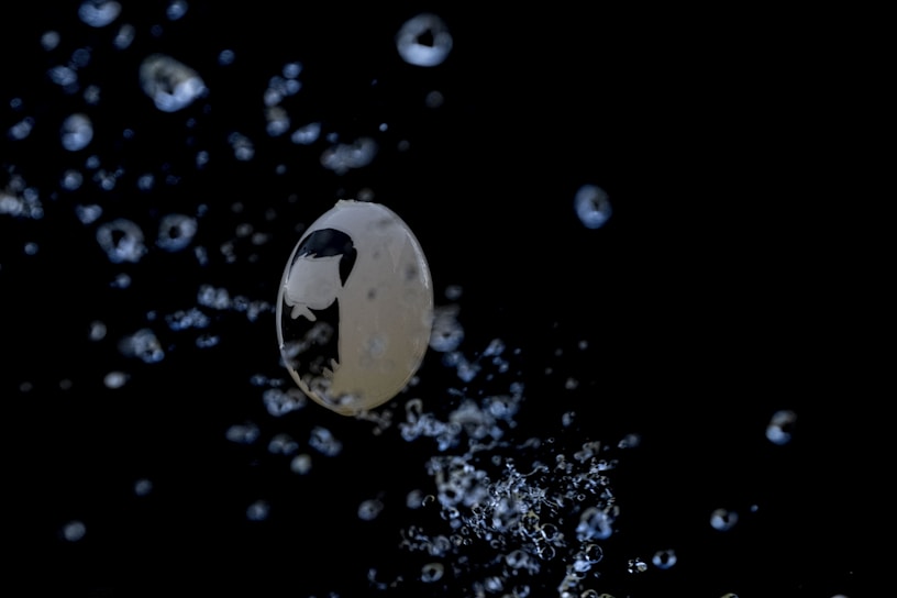Close-up of translucent ultrapva film gently dissolving in a clear glass of water.