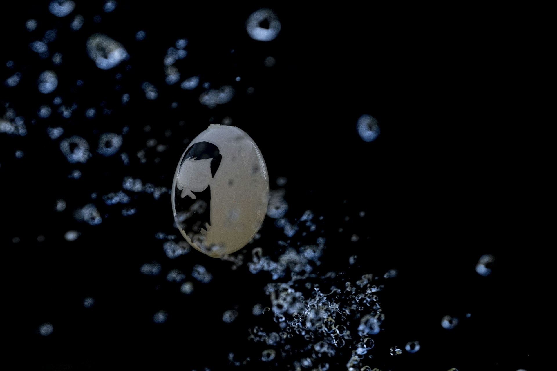 black and white bed linen