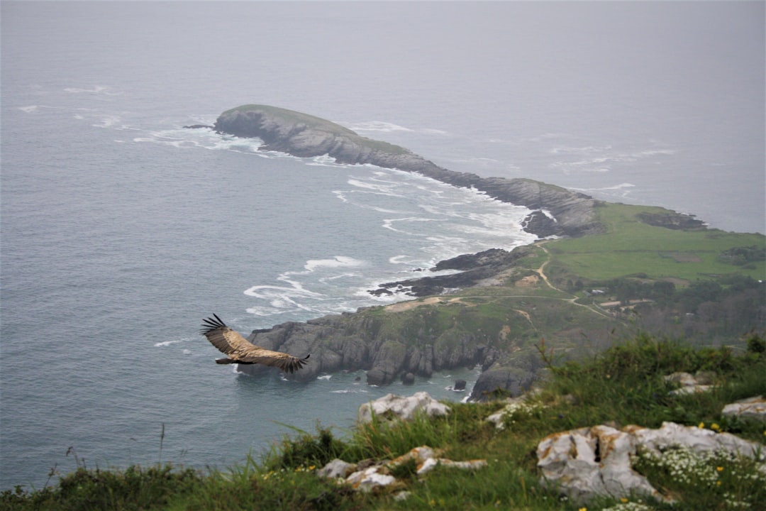 Cliff photo spot Asturias Gozón