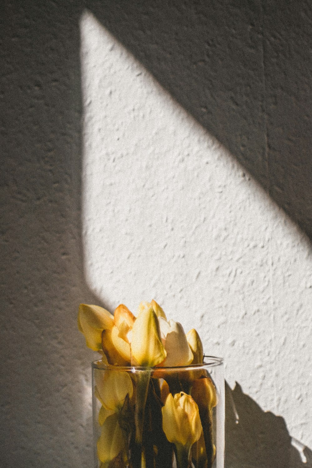 yellow flower on yellow vase