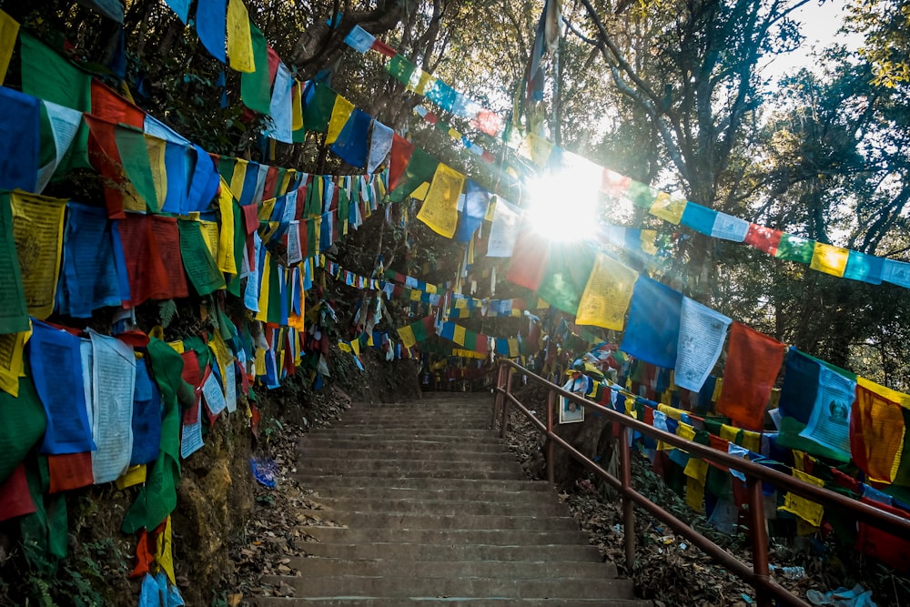 pathway with assorted clothes on the street