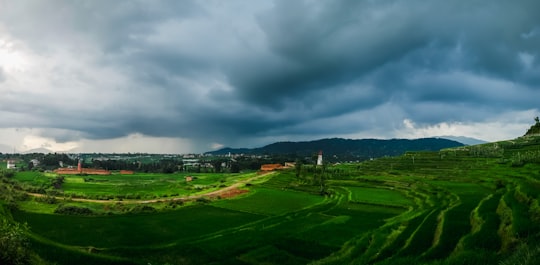 green grass field under cloudy sky during daytime in Bhaktapur Nepal