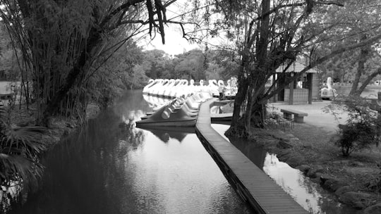 grayscale photo of river between trees in Porto Alegre Brasil