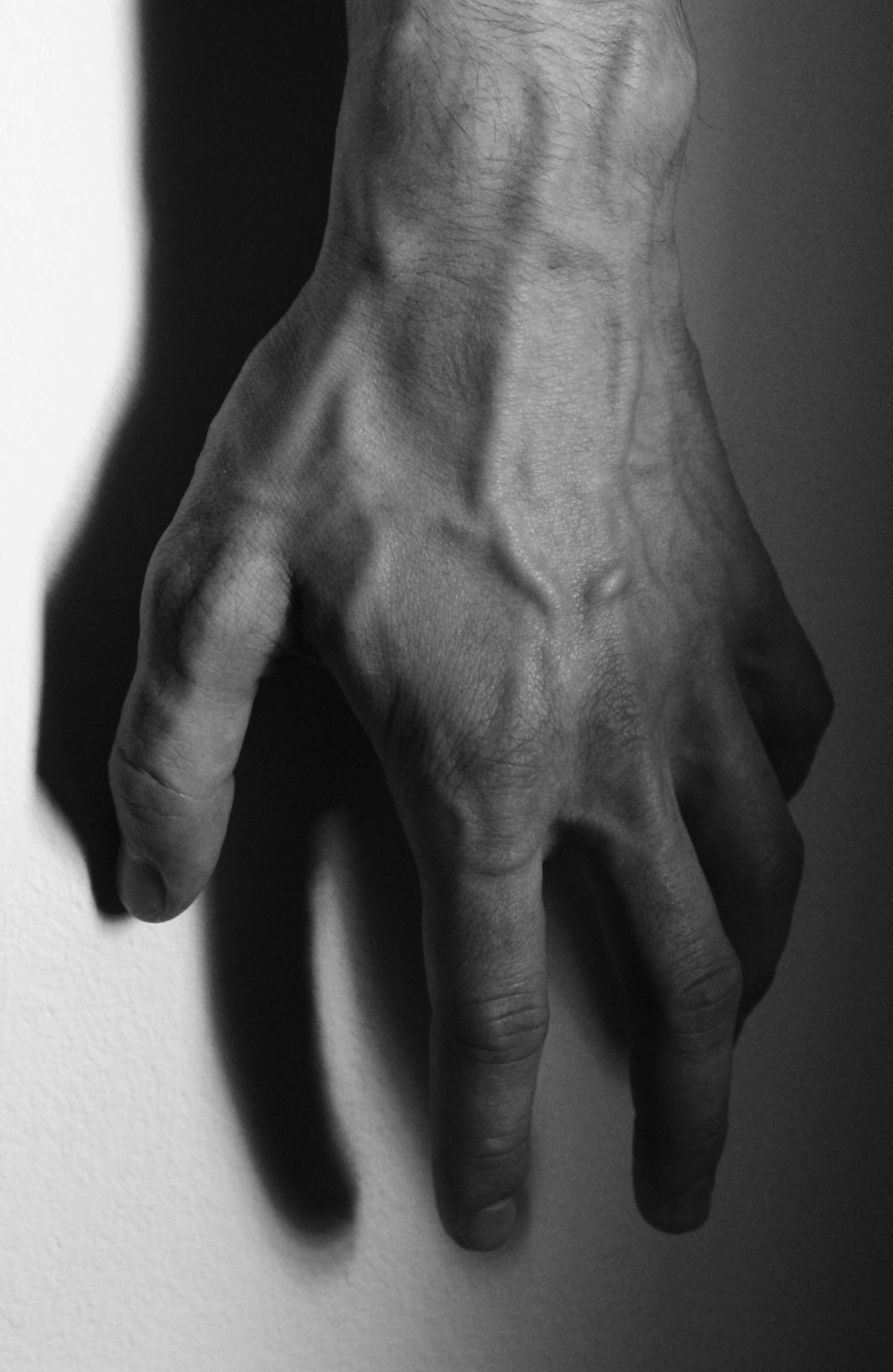 grayscale photo of persons hand