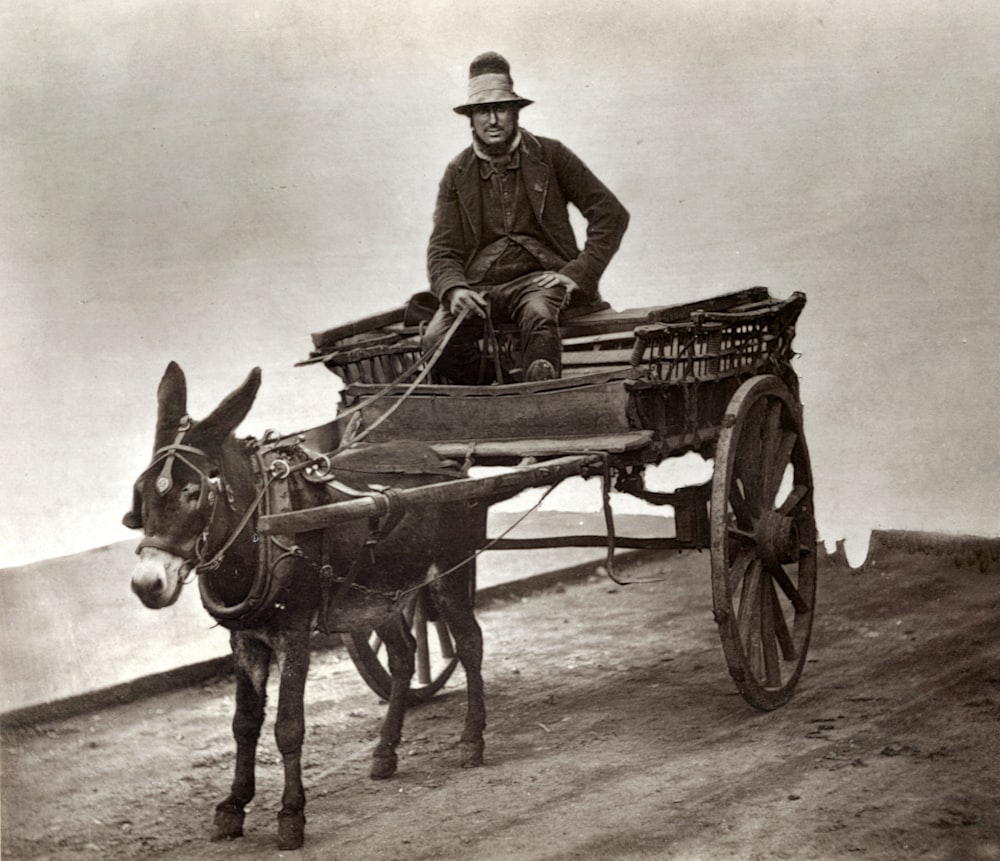 man riding on horse carriage