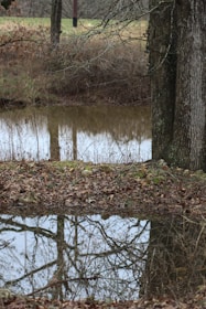 A peaceful nature scene symbolizing personal growth and life transitions.
