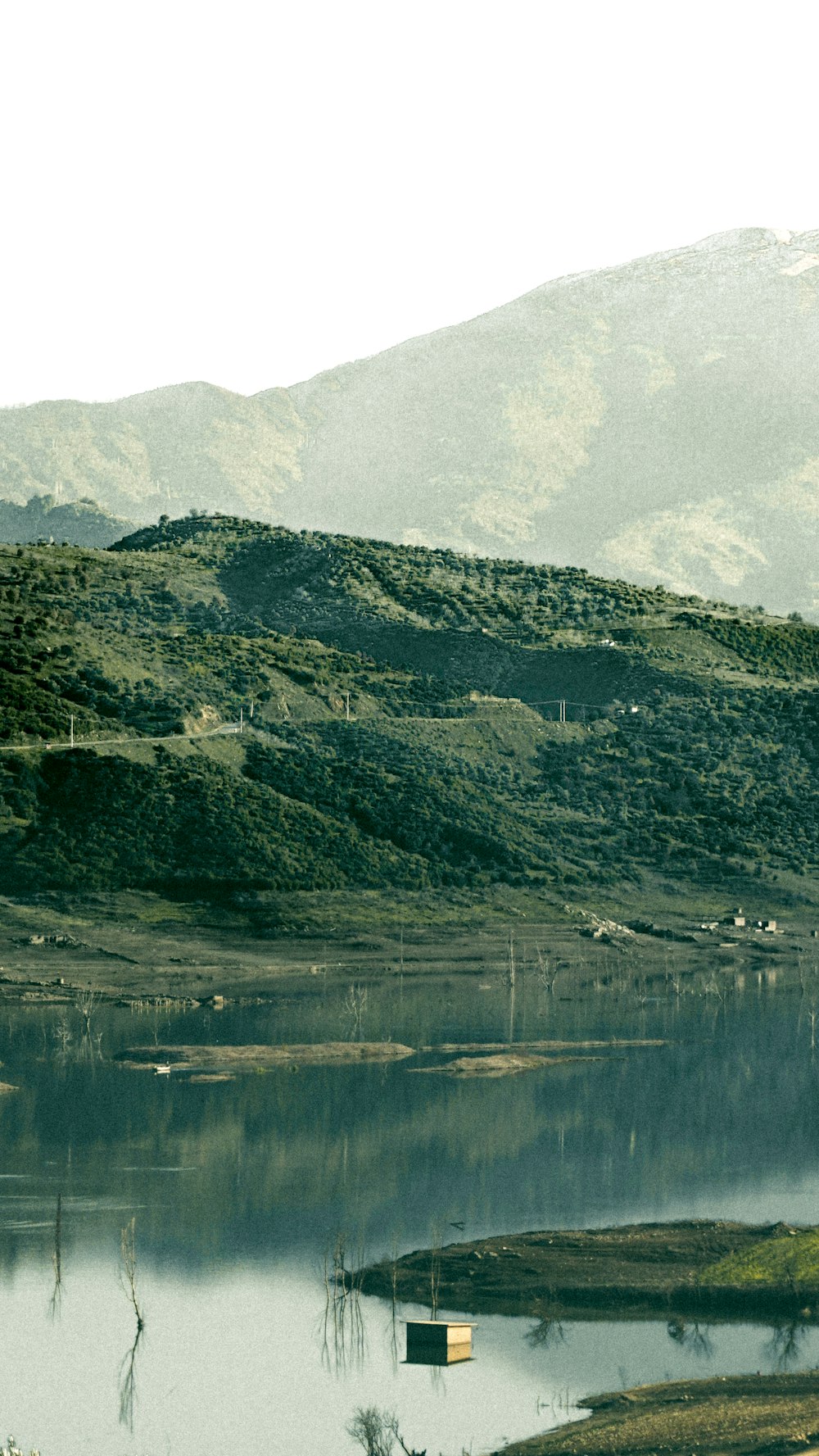 昼間の湖畔の緑と茶色の山