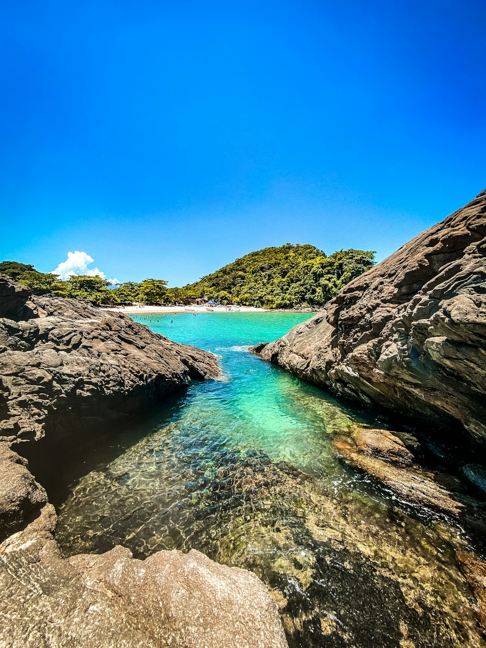 日中の青空の下で茶色と緑の山々の間の水域