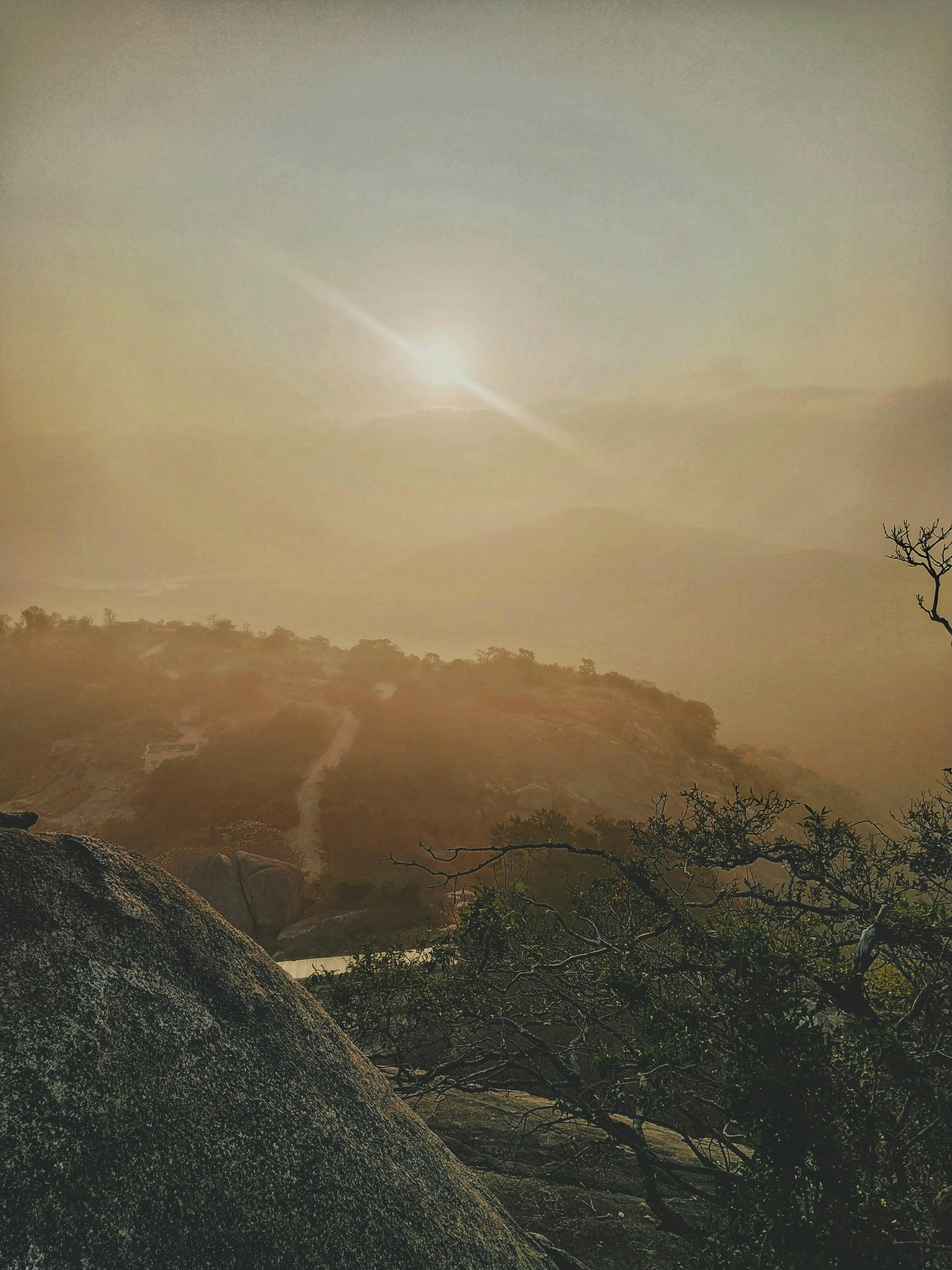 green trees on mountain during daytime