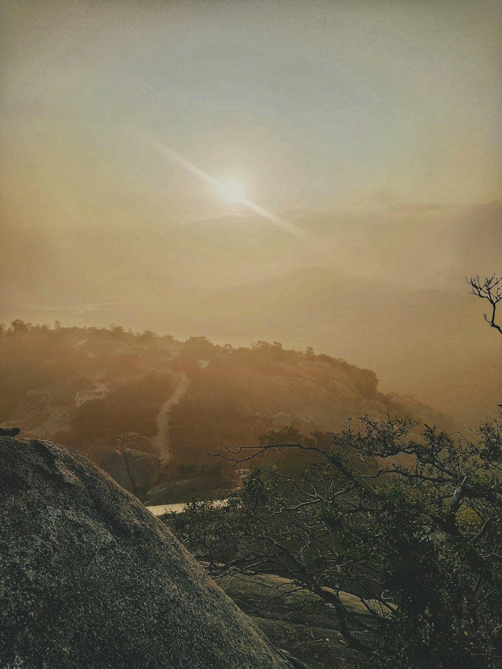 green trees on mountain during daytime